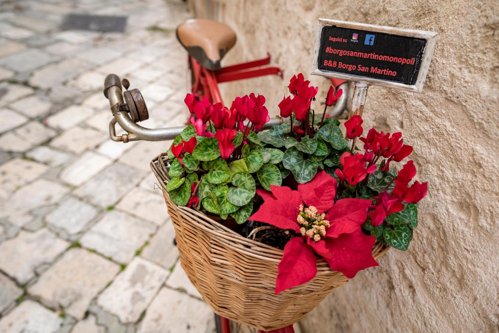 B&B Borgo San Martino