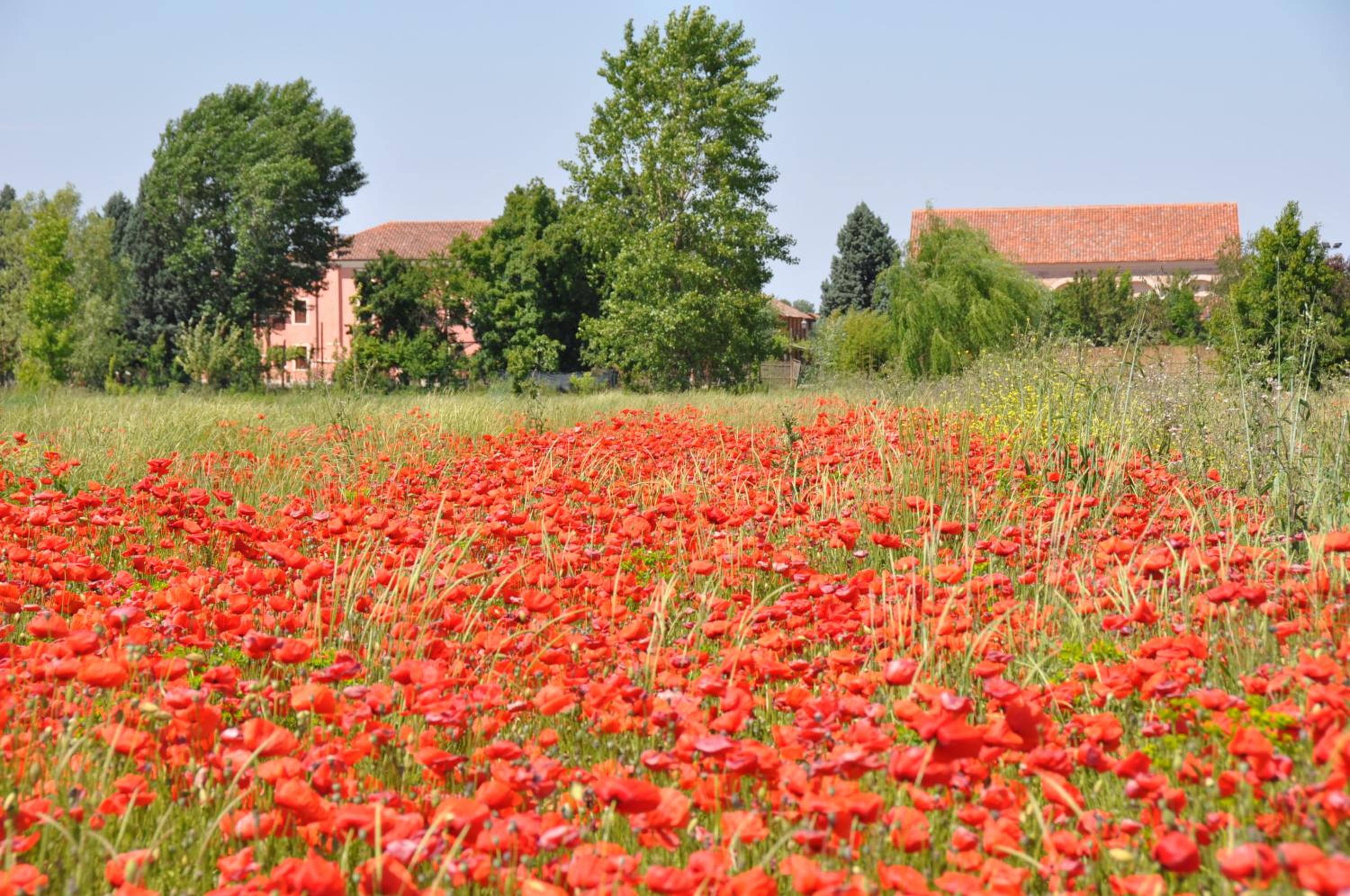 Bordeghina B&B In Farmhouse