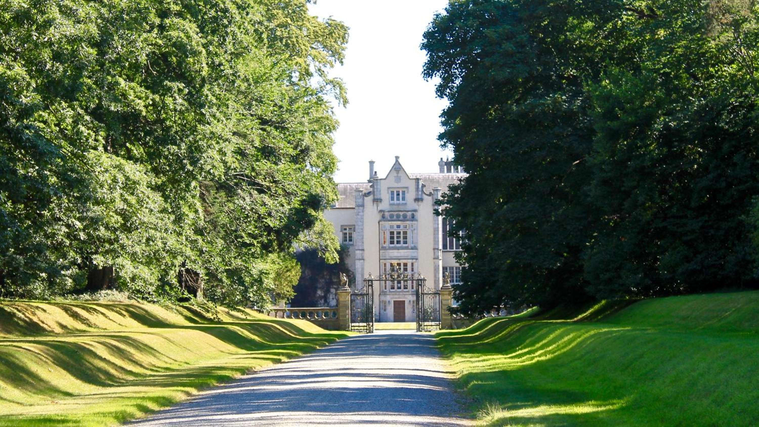 The Nook County Dublin