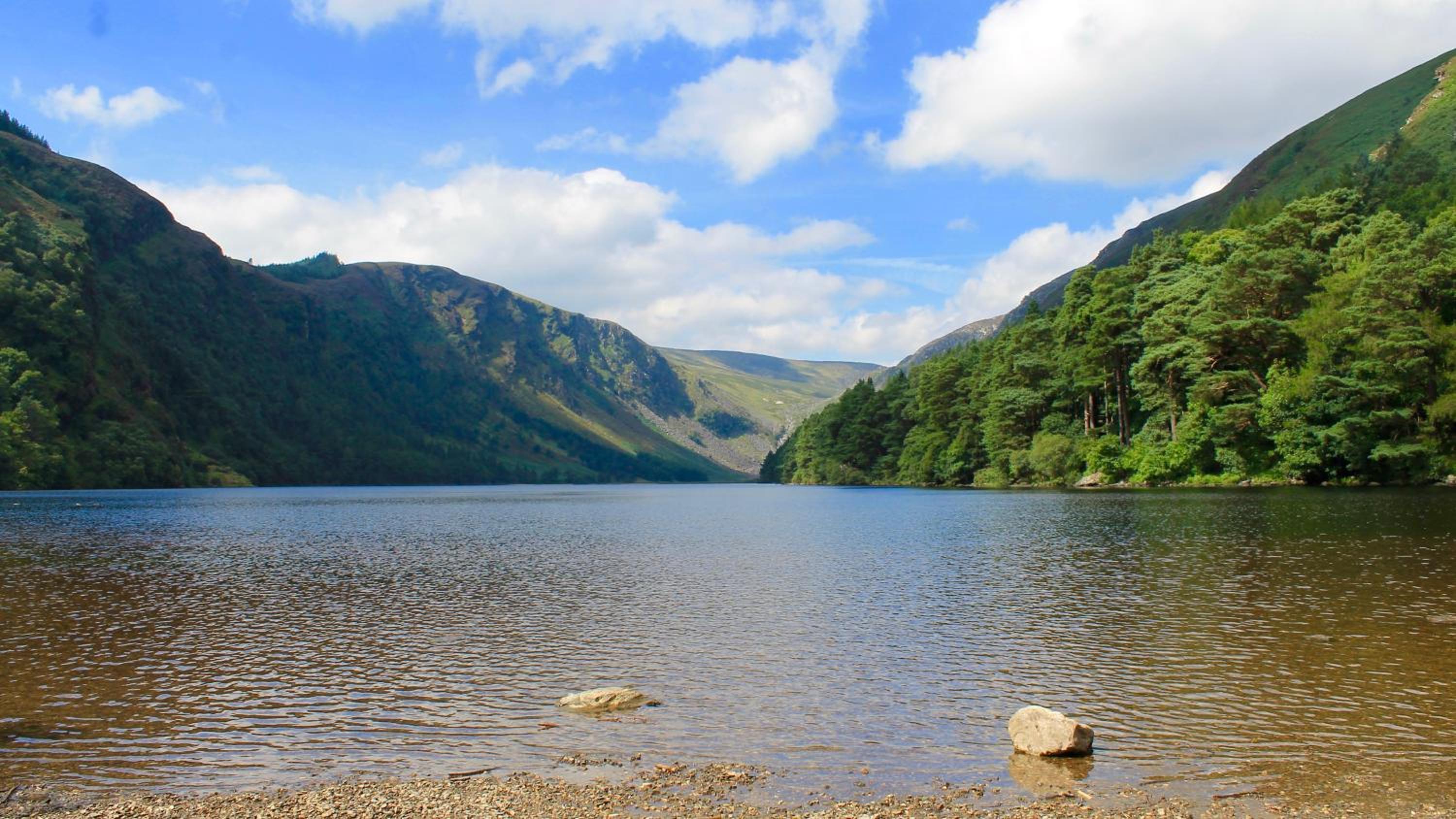 The Nook County Dublin