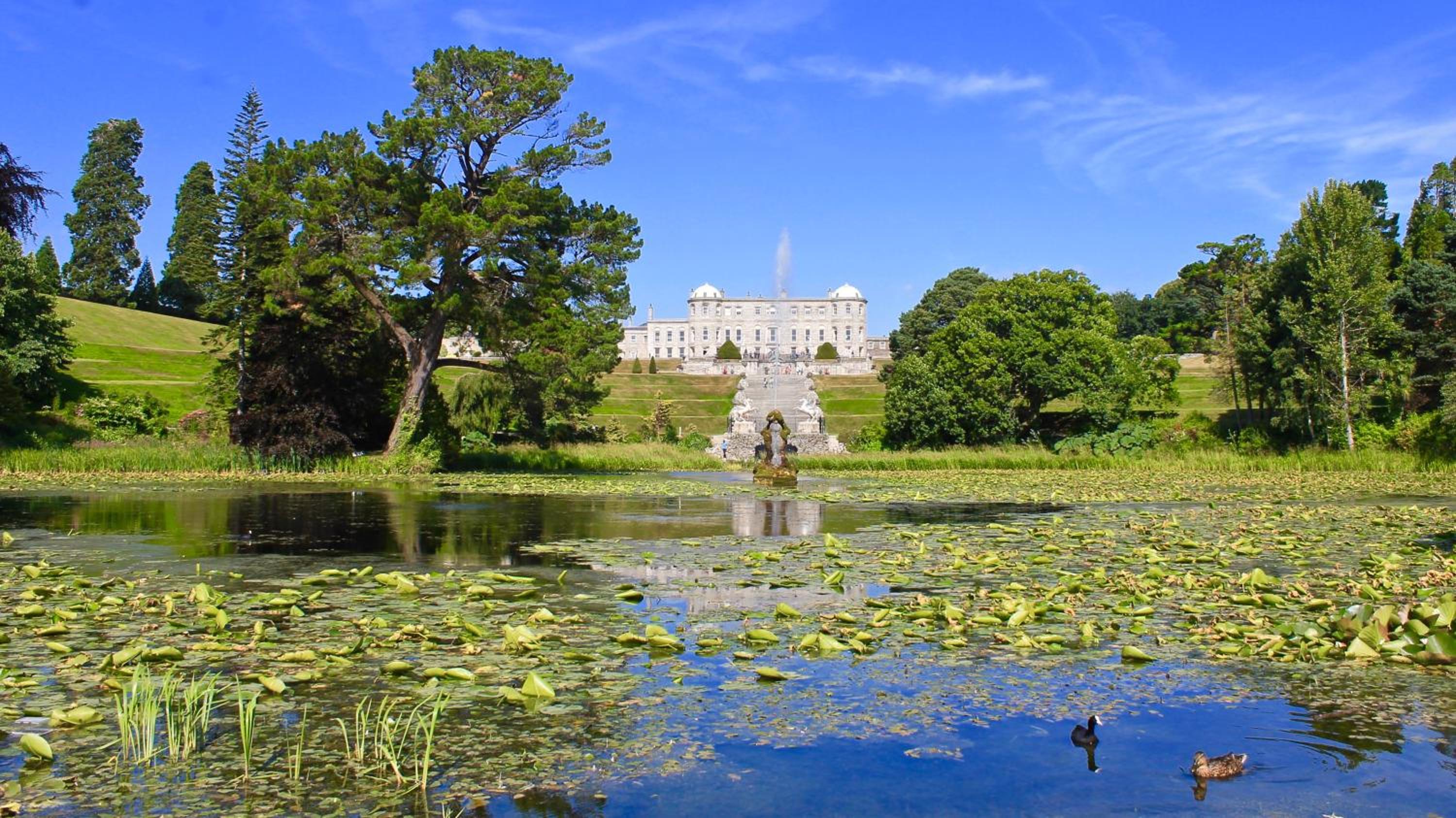 The Nook County Dublin