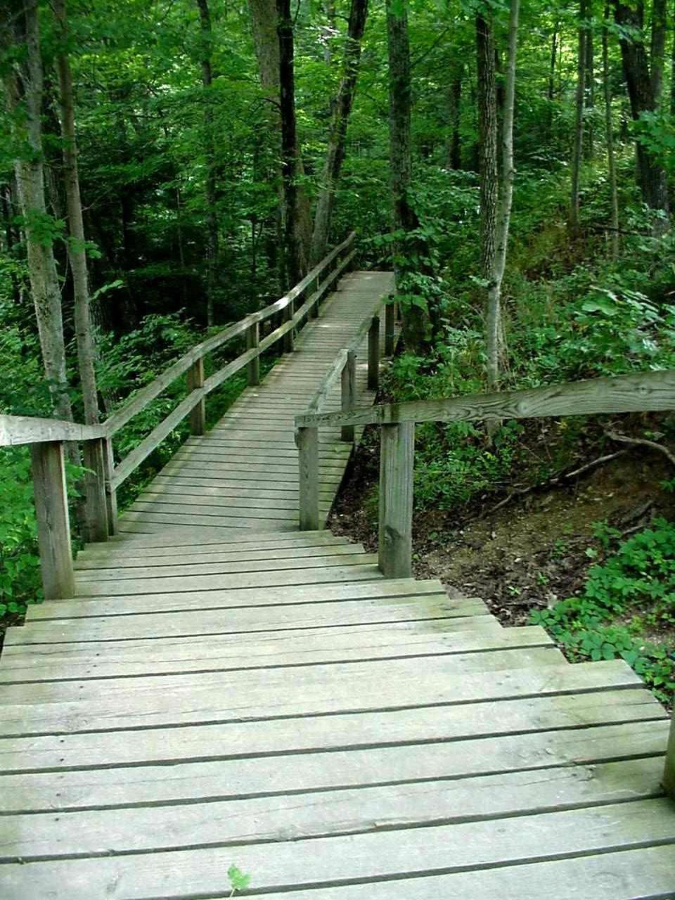 Marshall Vacations - Turkey Run Inn  Cabins - Property Image 12