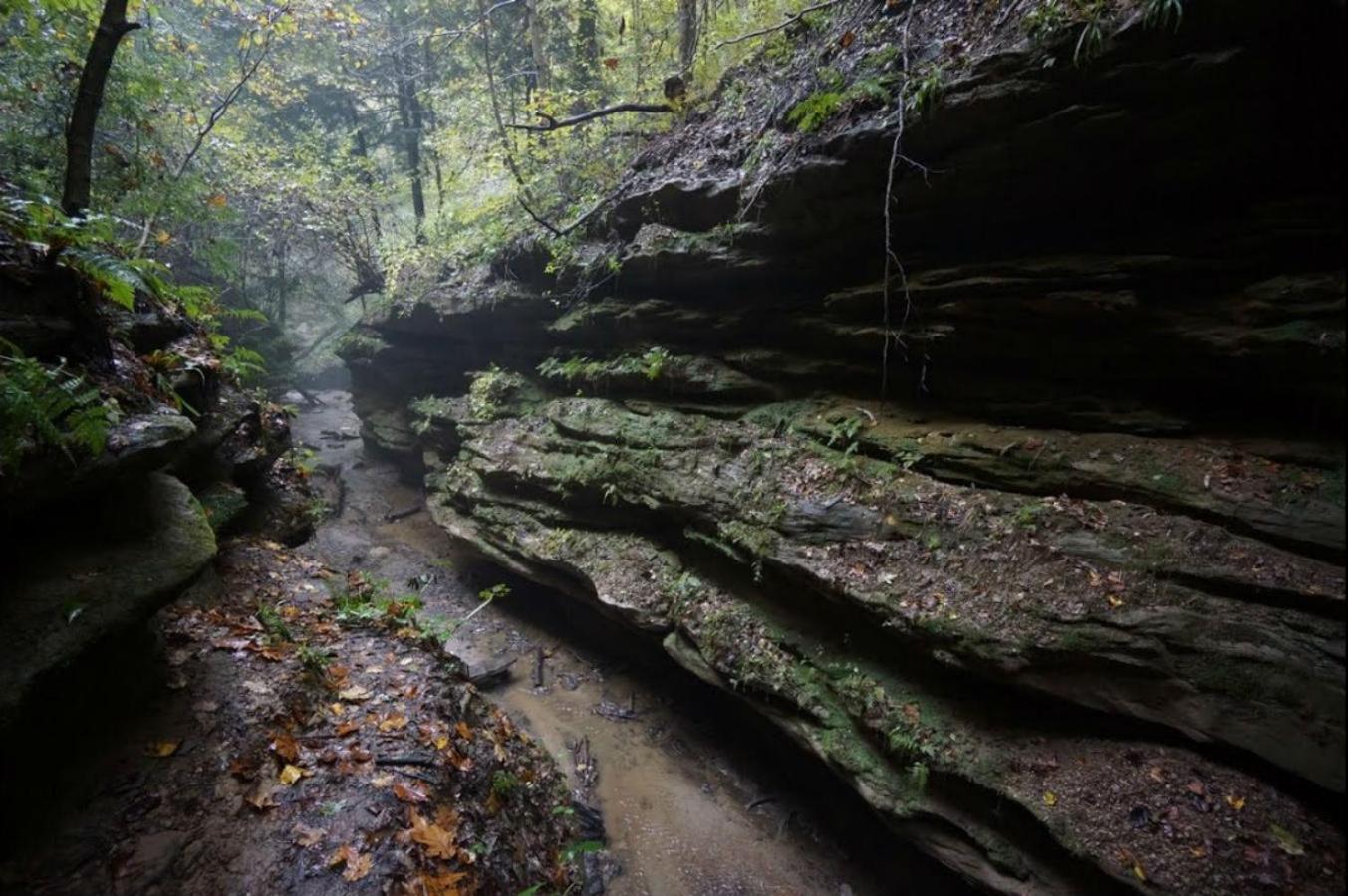 Marshall Vacations - Turkey Run Inn  Cabins - Property Image 6
