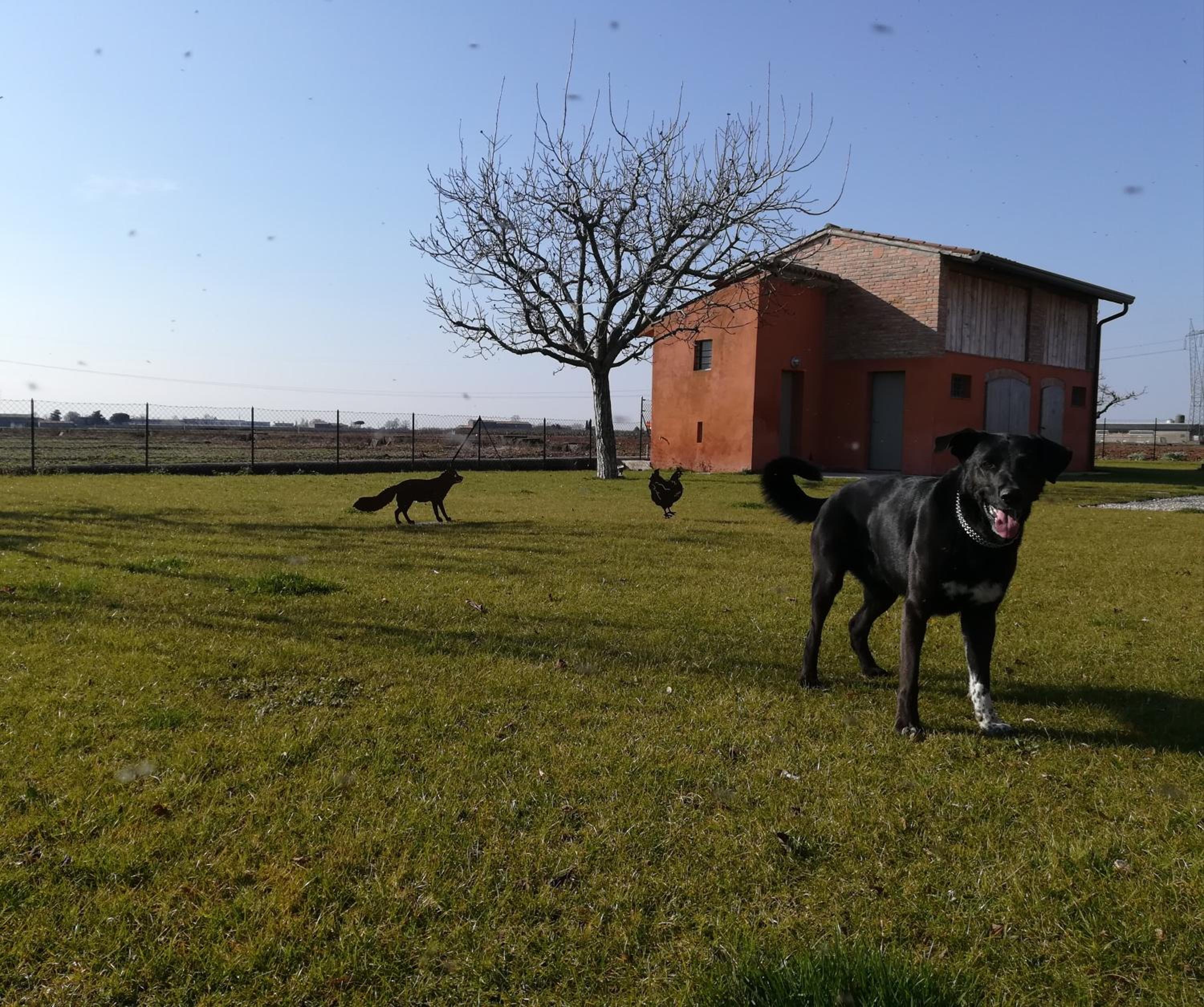 Photo 49