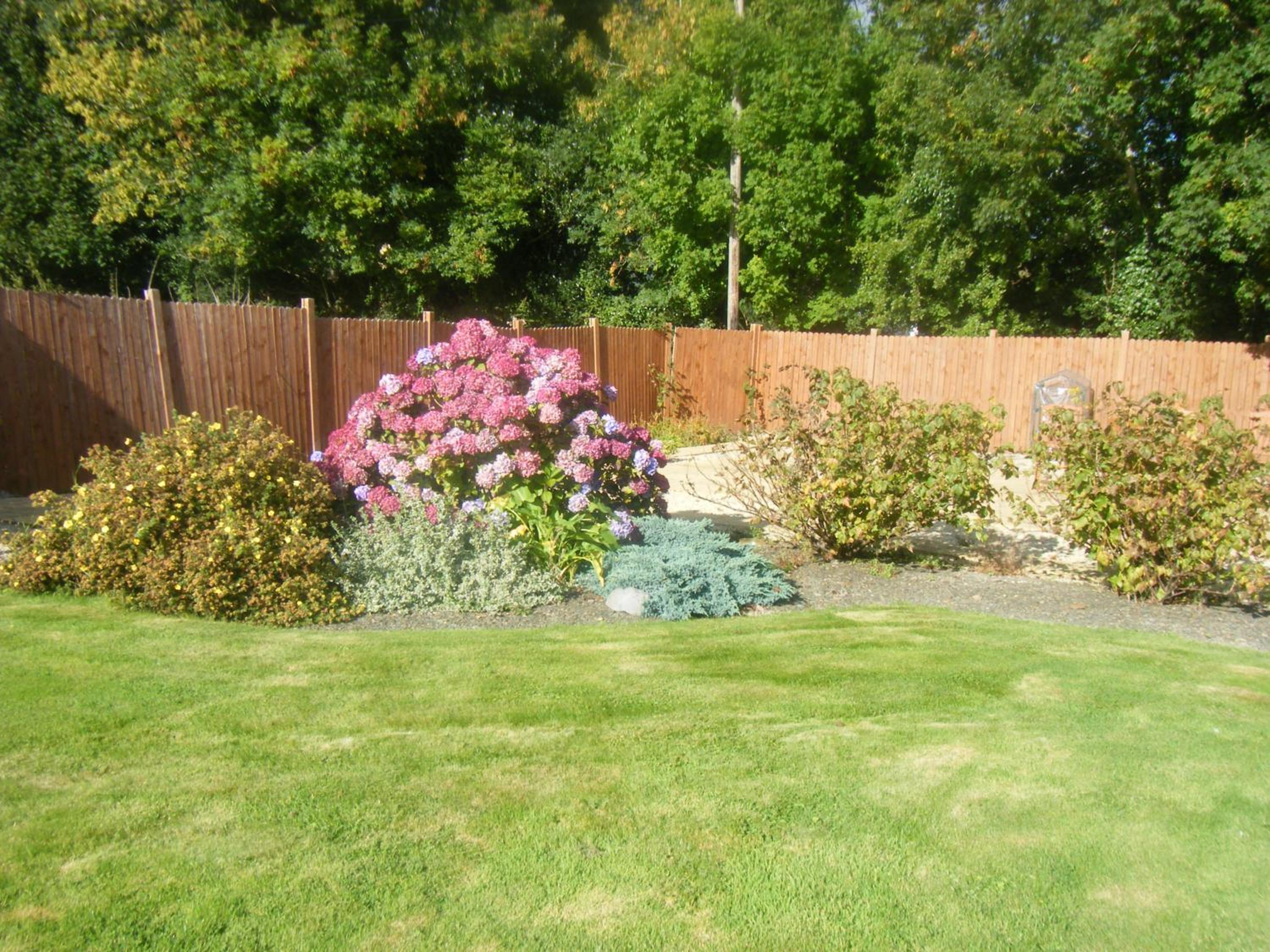 Photo 51