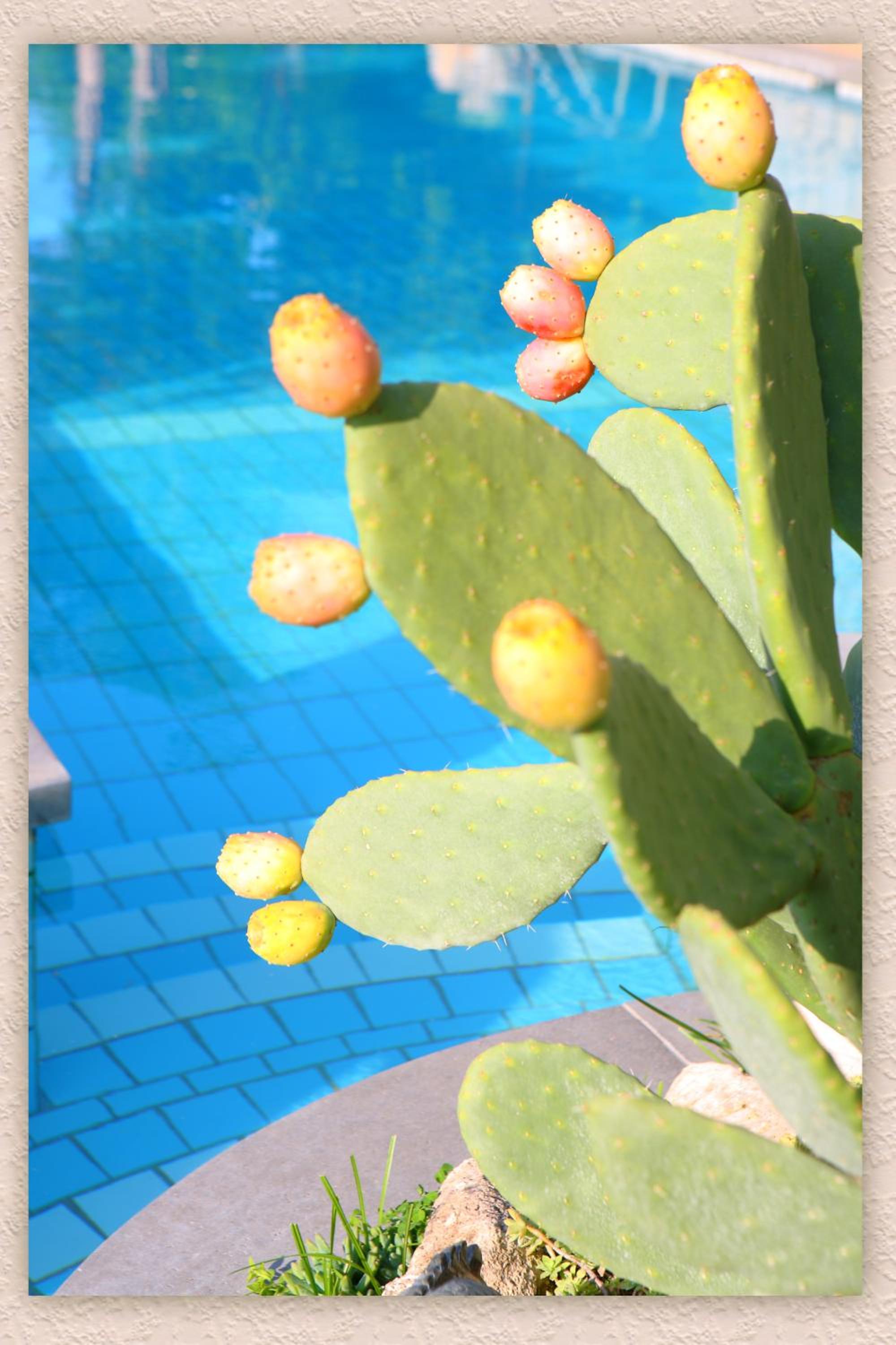 Villa Ketty Resort photo 2