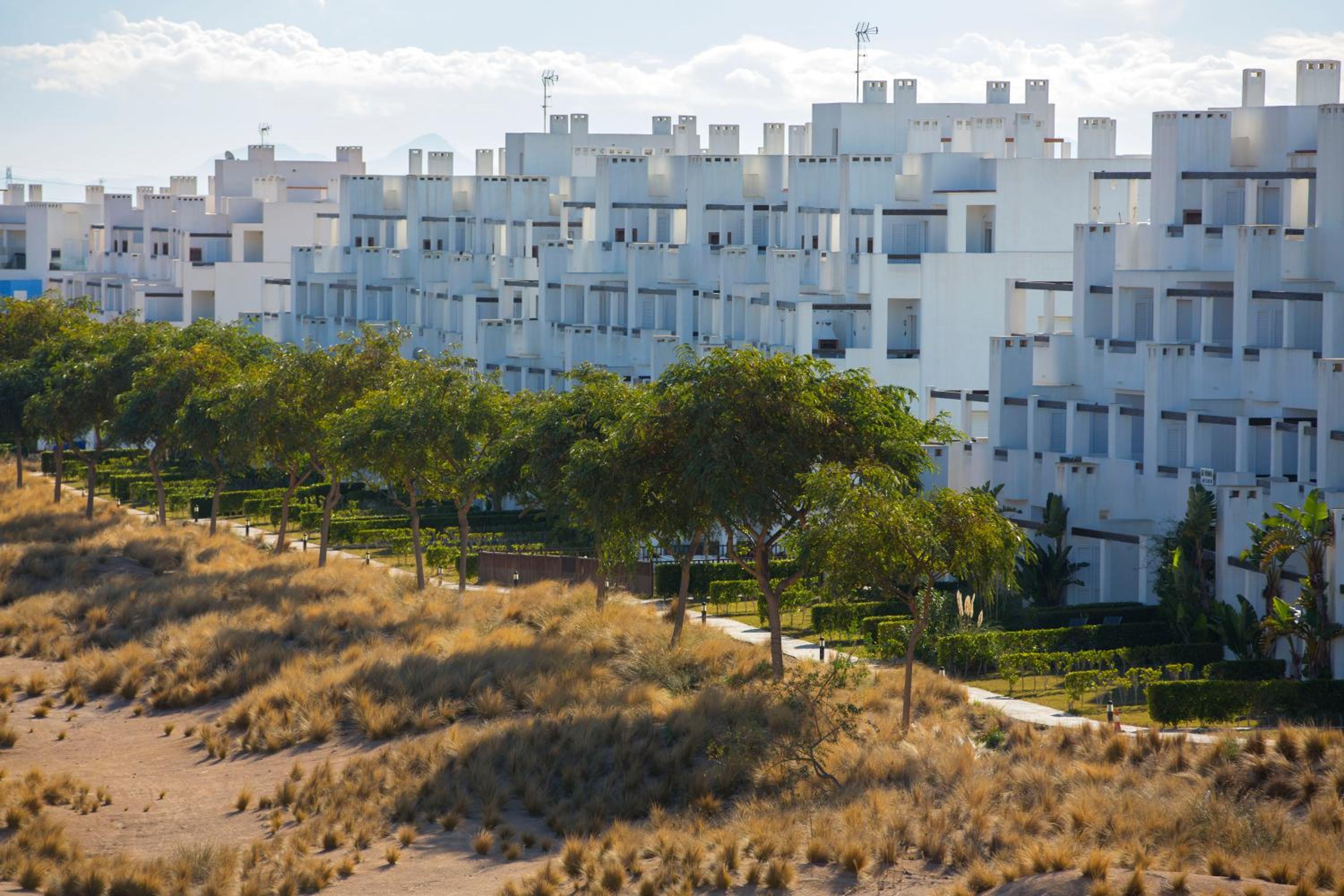 Terrazas De la Torre 533 view 5