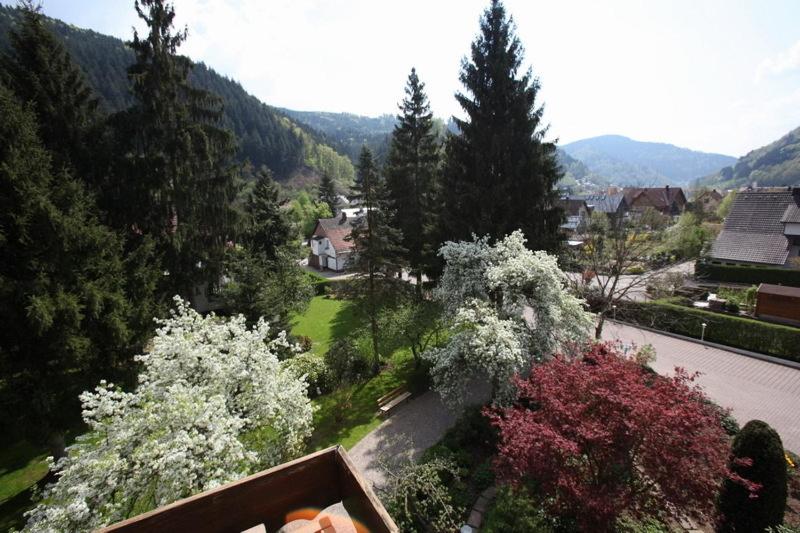 Hotel Garni Café Schacher