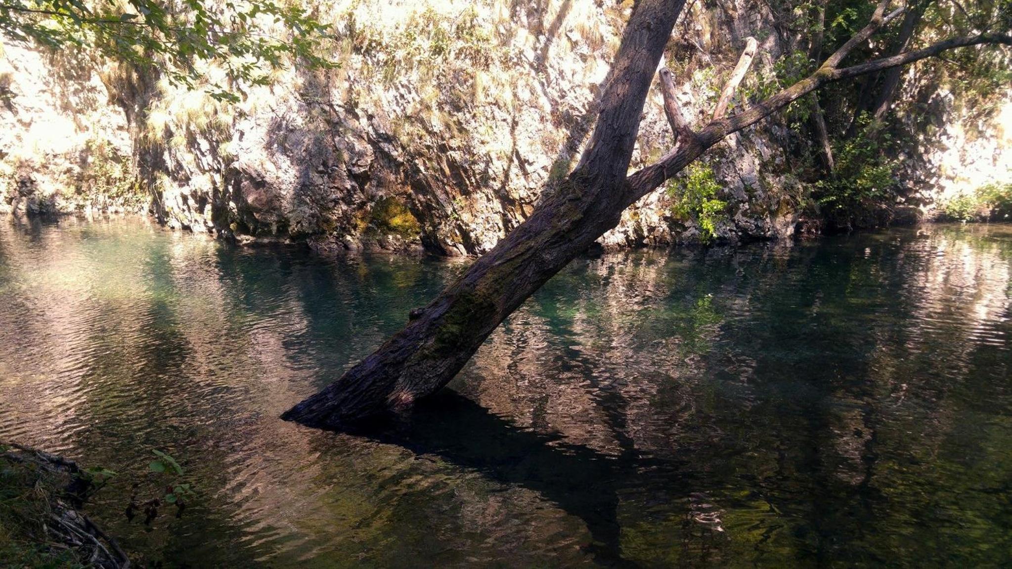 Photo 14