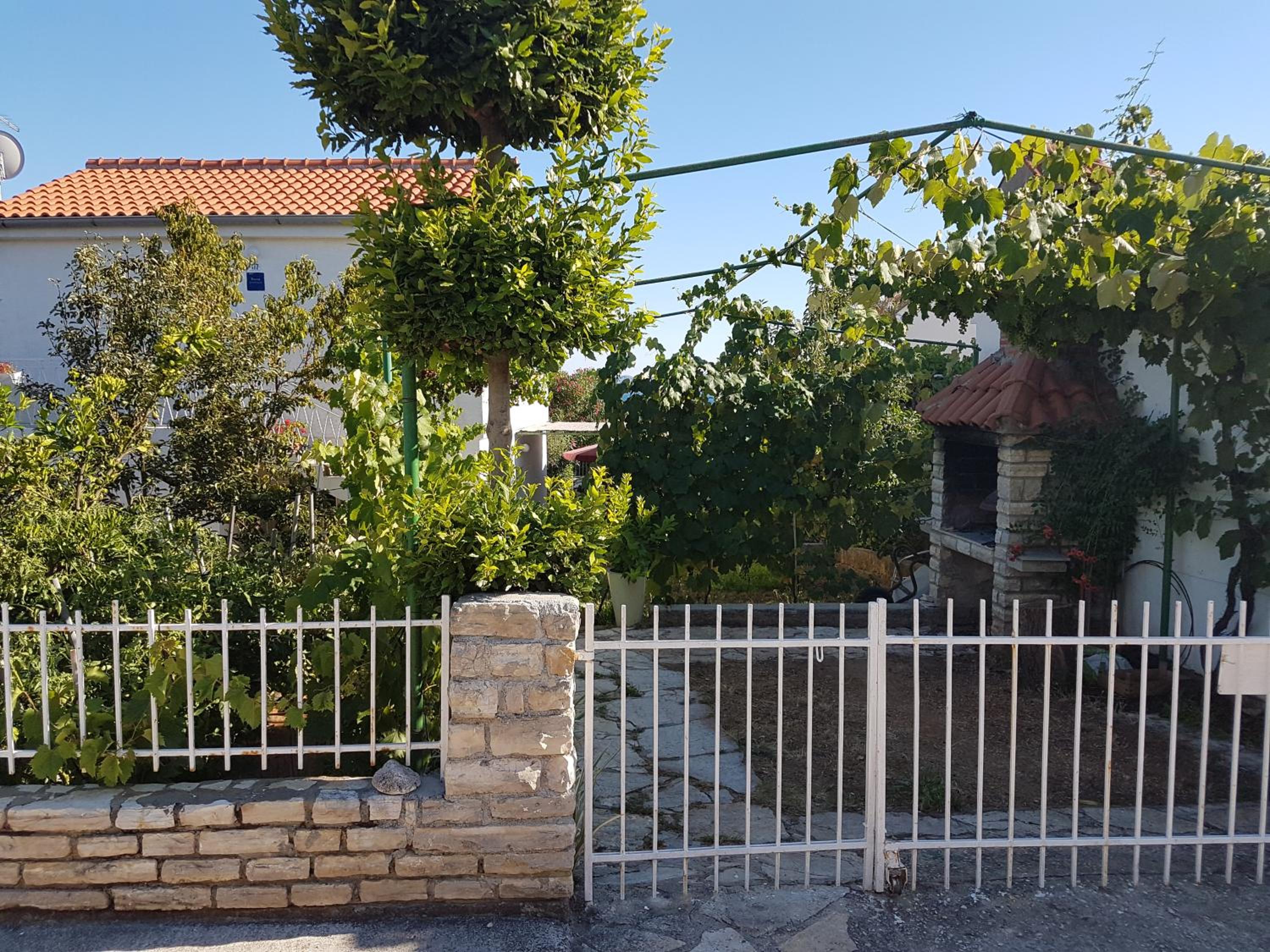 Photo 11
