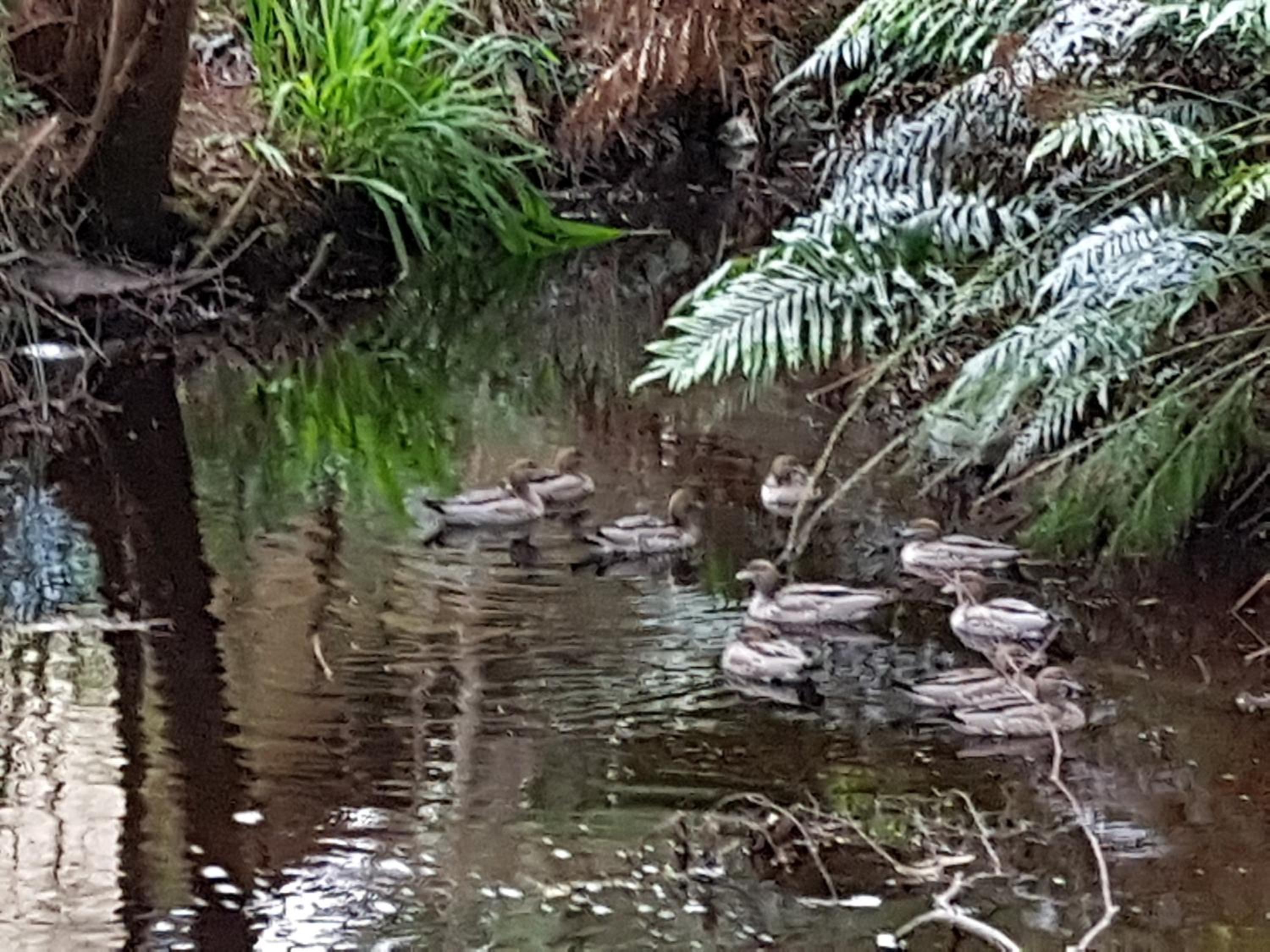 Strahan Retreat Holiday Park