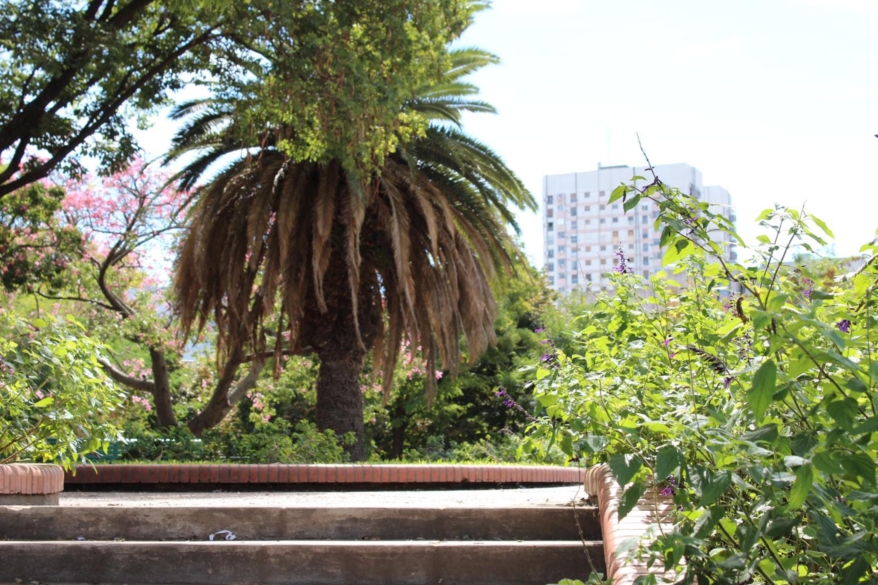 Apartamento Casa Charcas