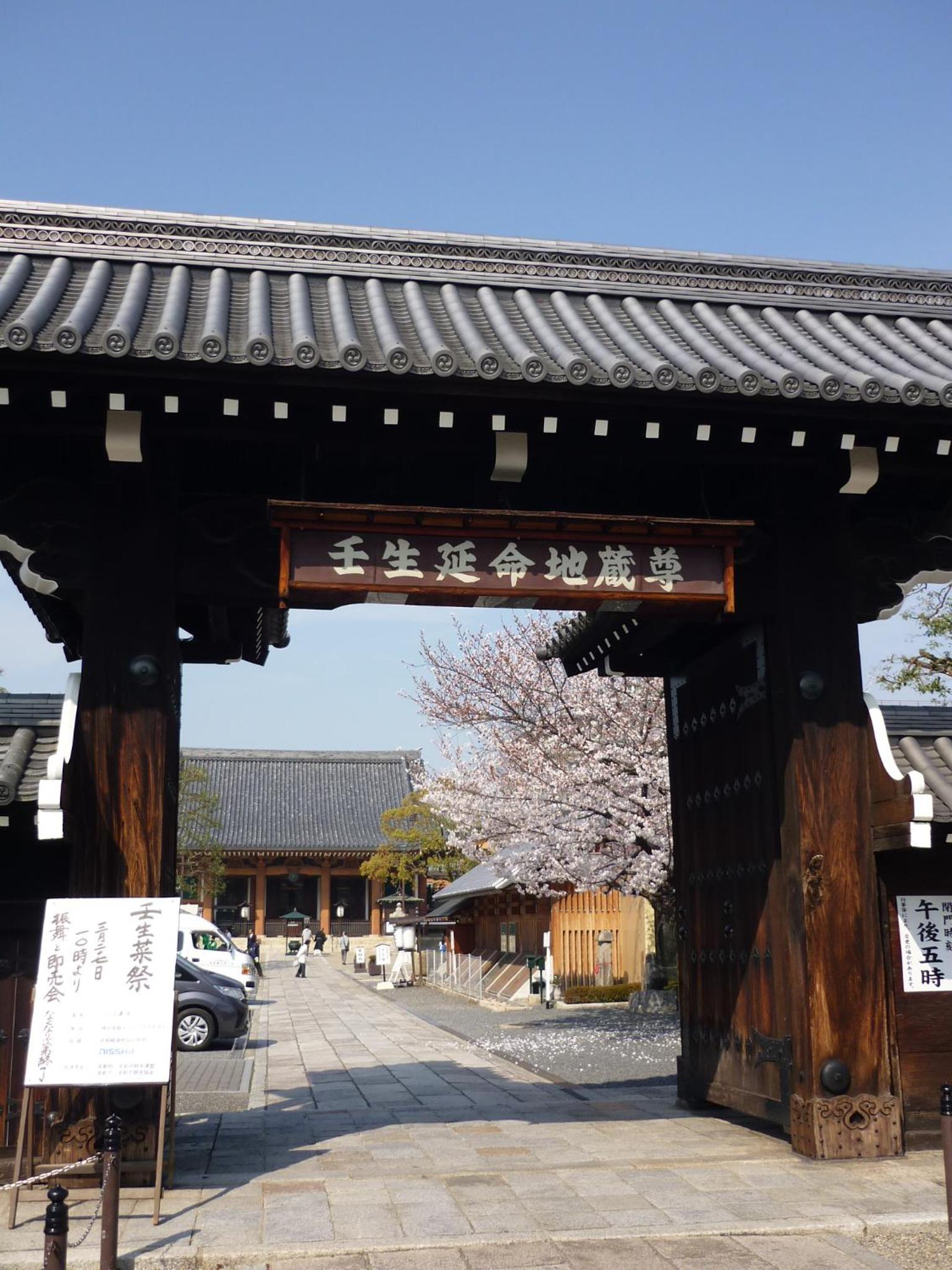 Photo 41