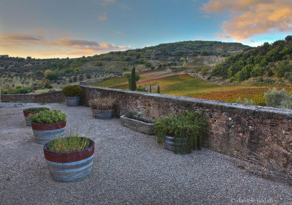 Dimora Toscana view 4