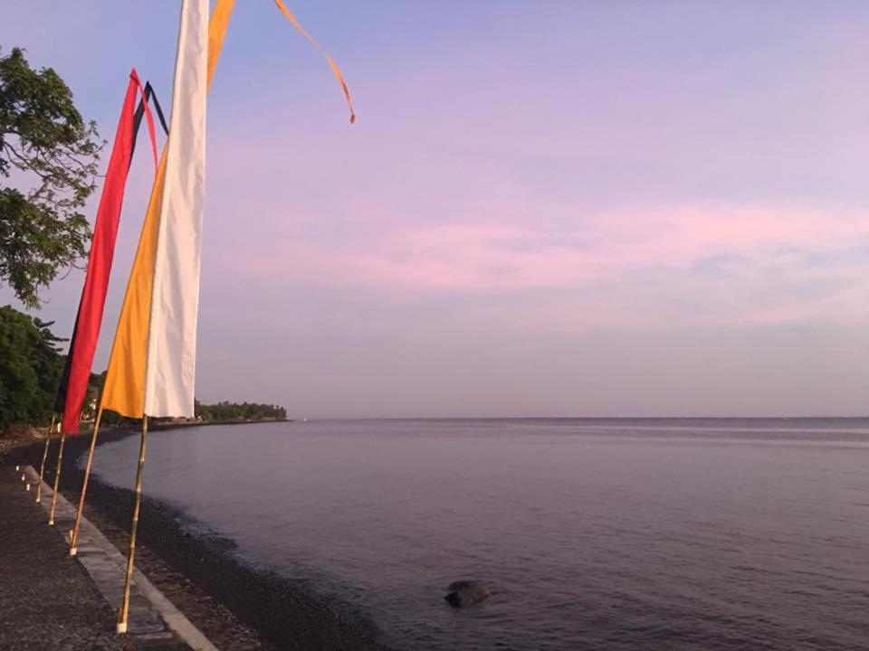 Paradise Palm Beach Bungalows and Dive Center, Tulamben - 15