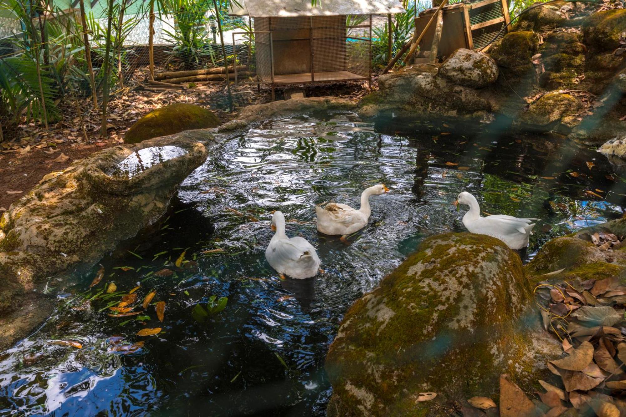 Letstay Adithya Nature Resort & Spa