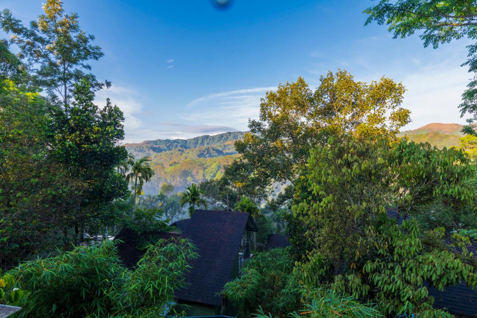 Letstay Adithya Nature Resort & Spa