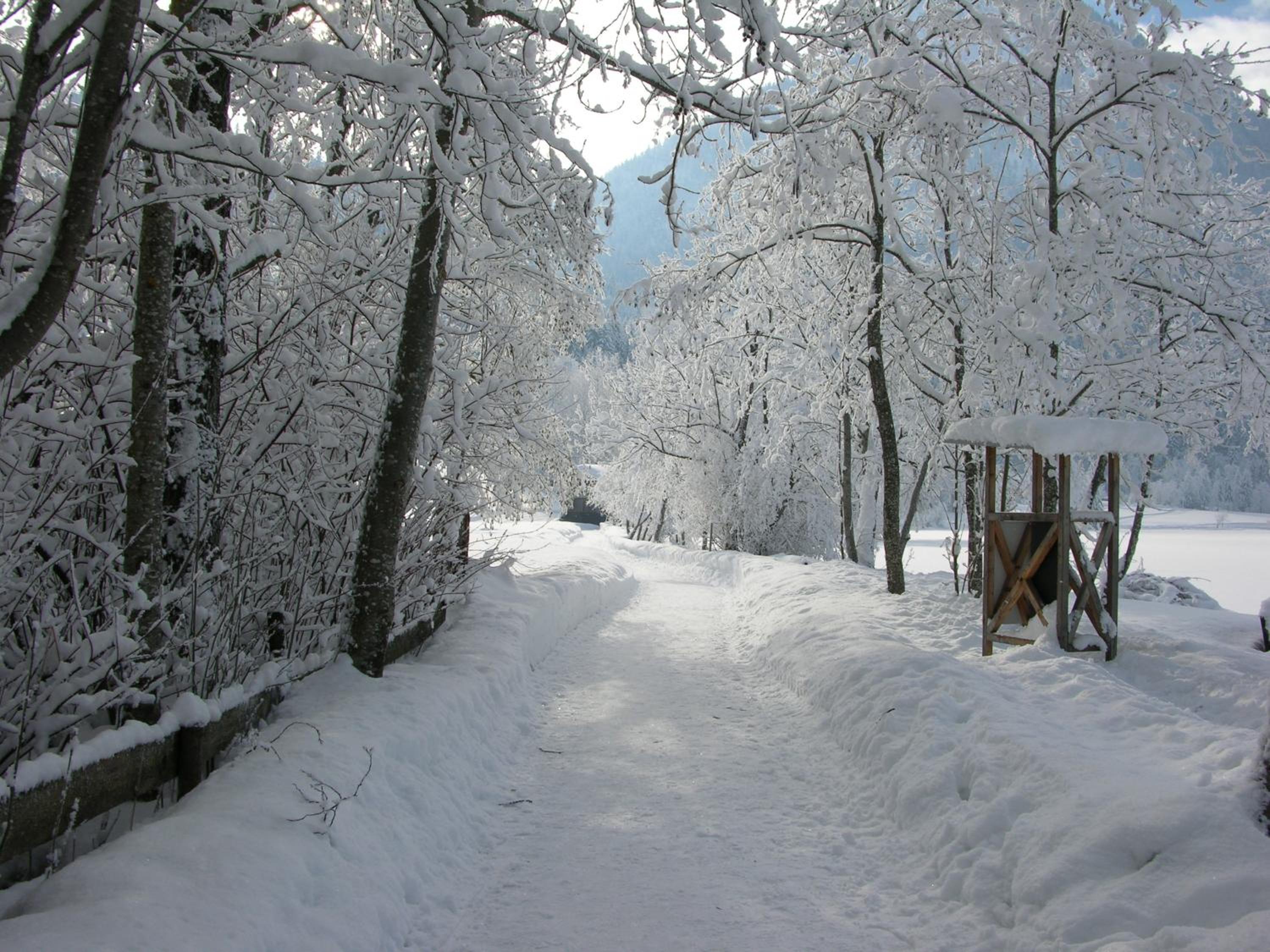 Haus Seeblick am See