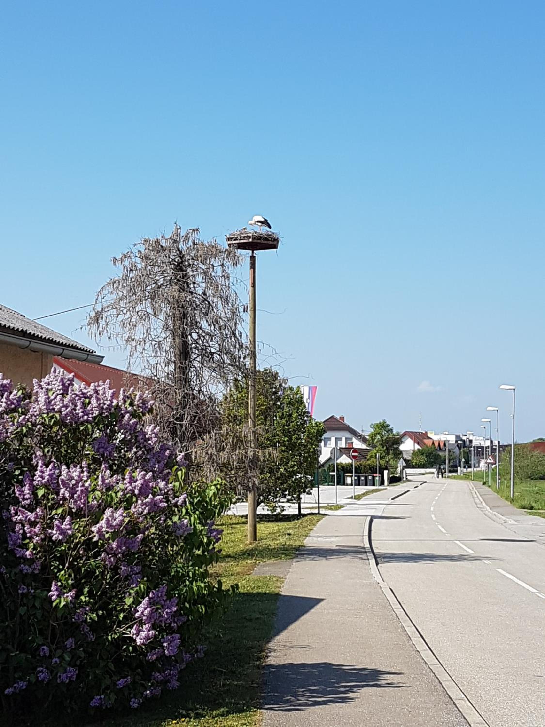 Apartment Velcom en Moravske Toplice