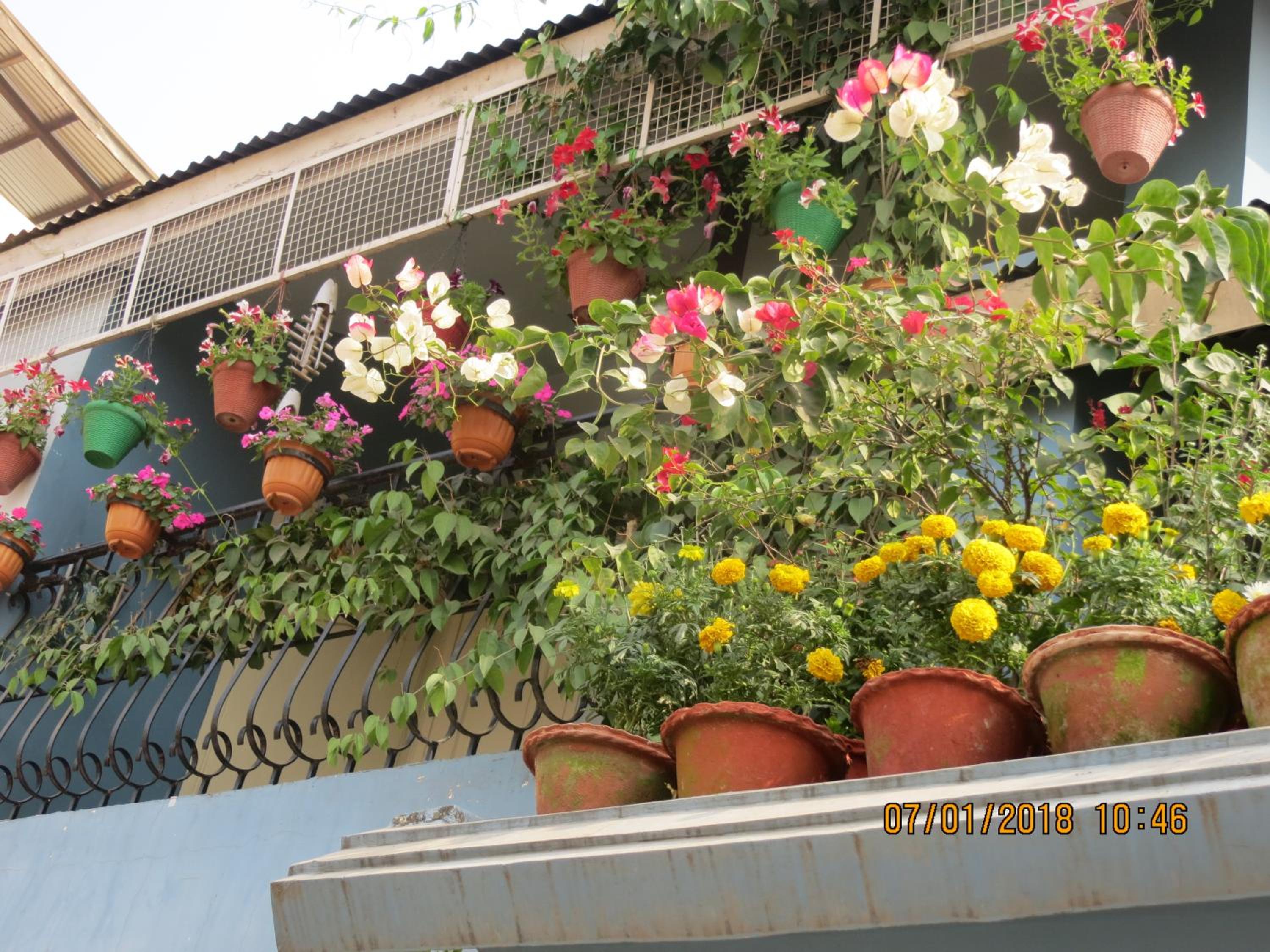 Happy Homes view 2