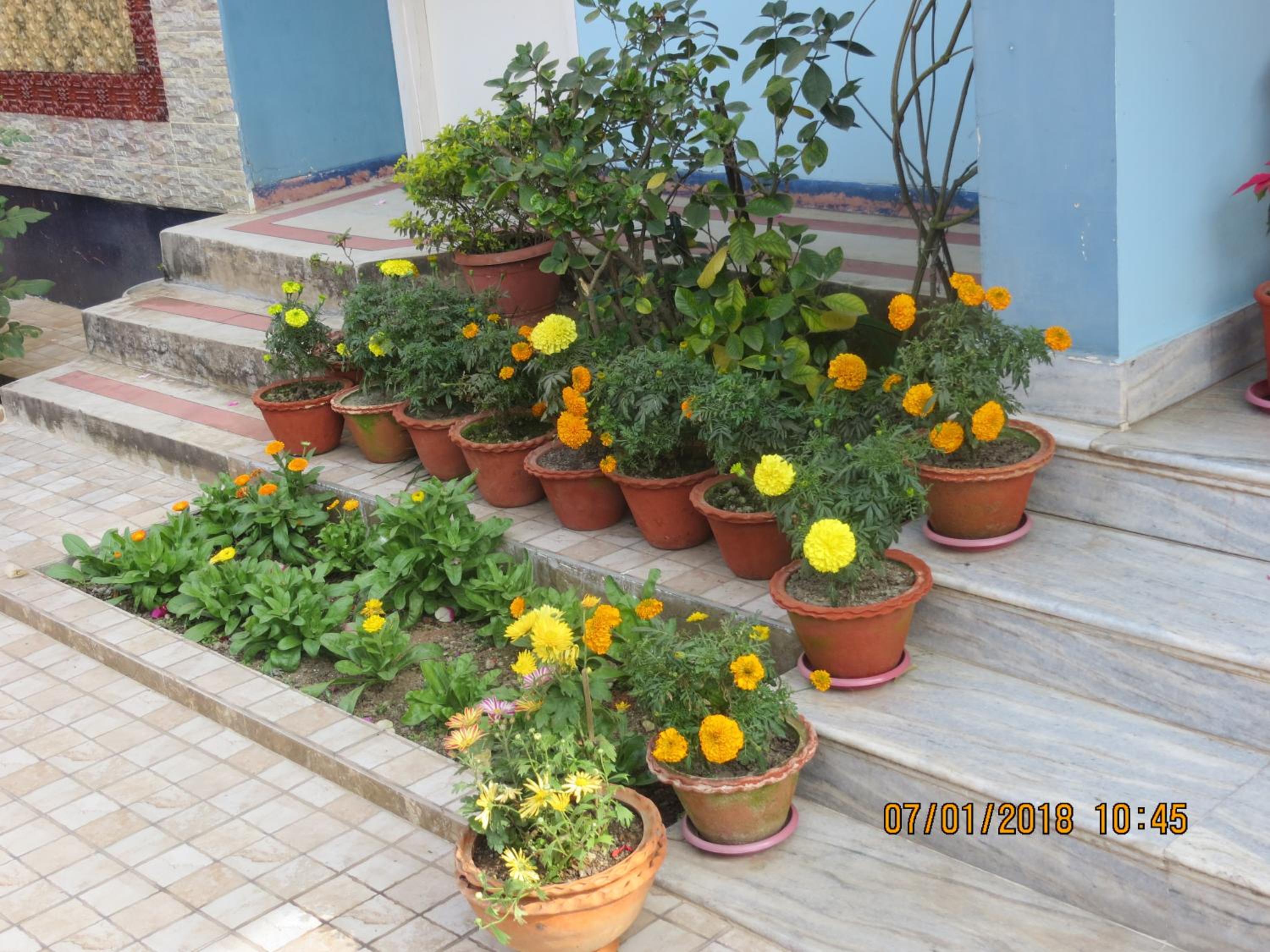 Happy Homes view 4