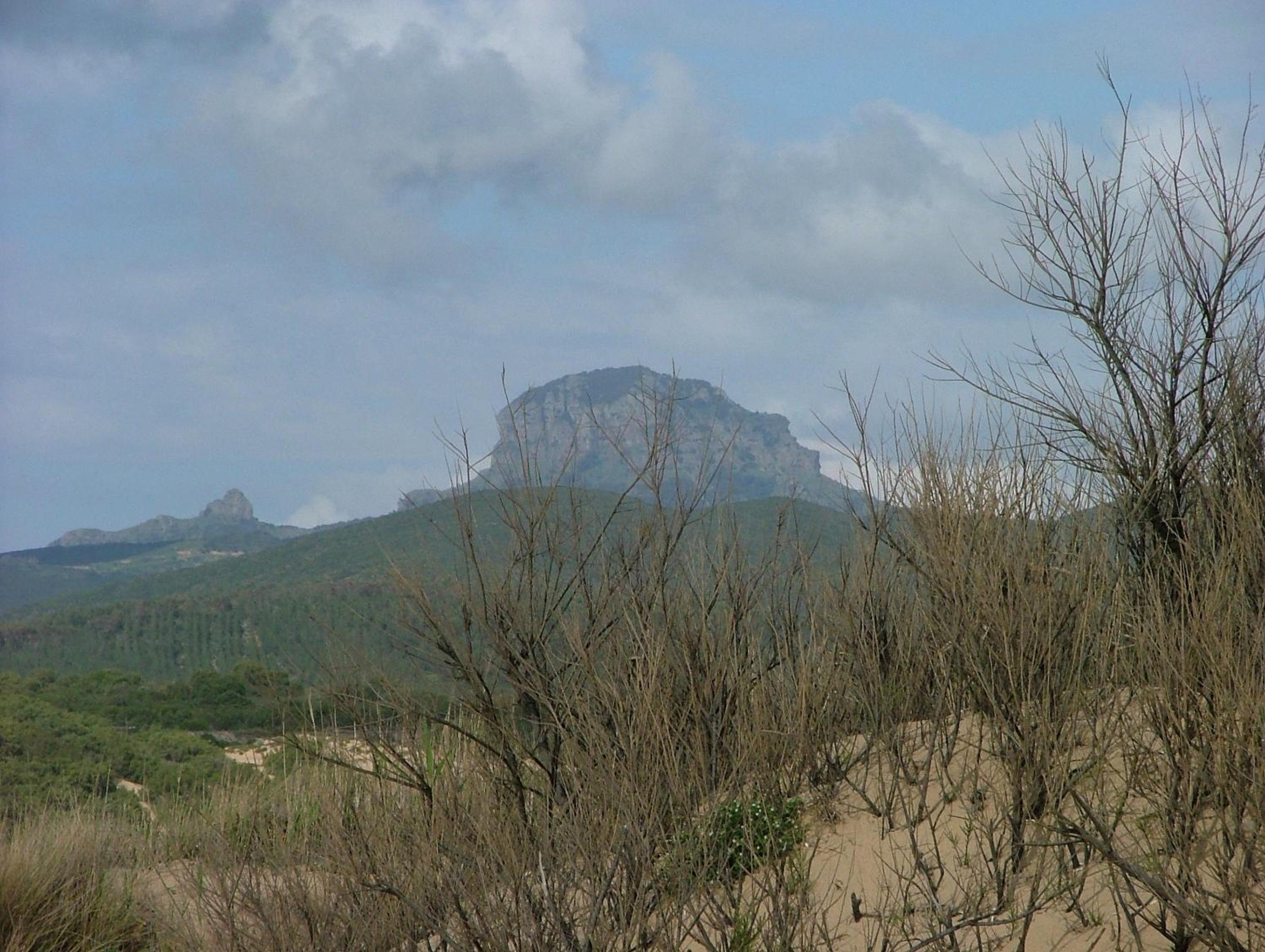 Photo 26