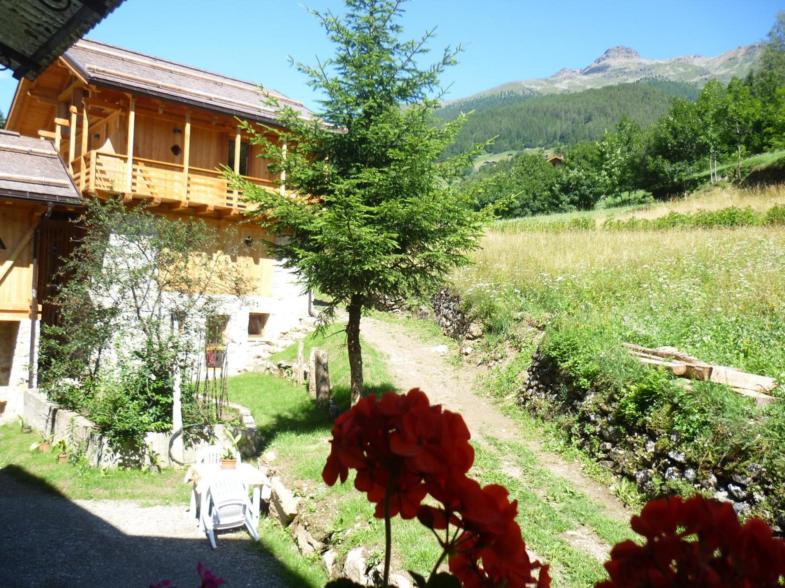 Maso Fior di Bosco - Val di Rabbi - Esercizio Rurale view 2