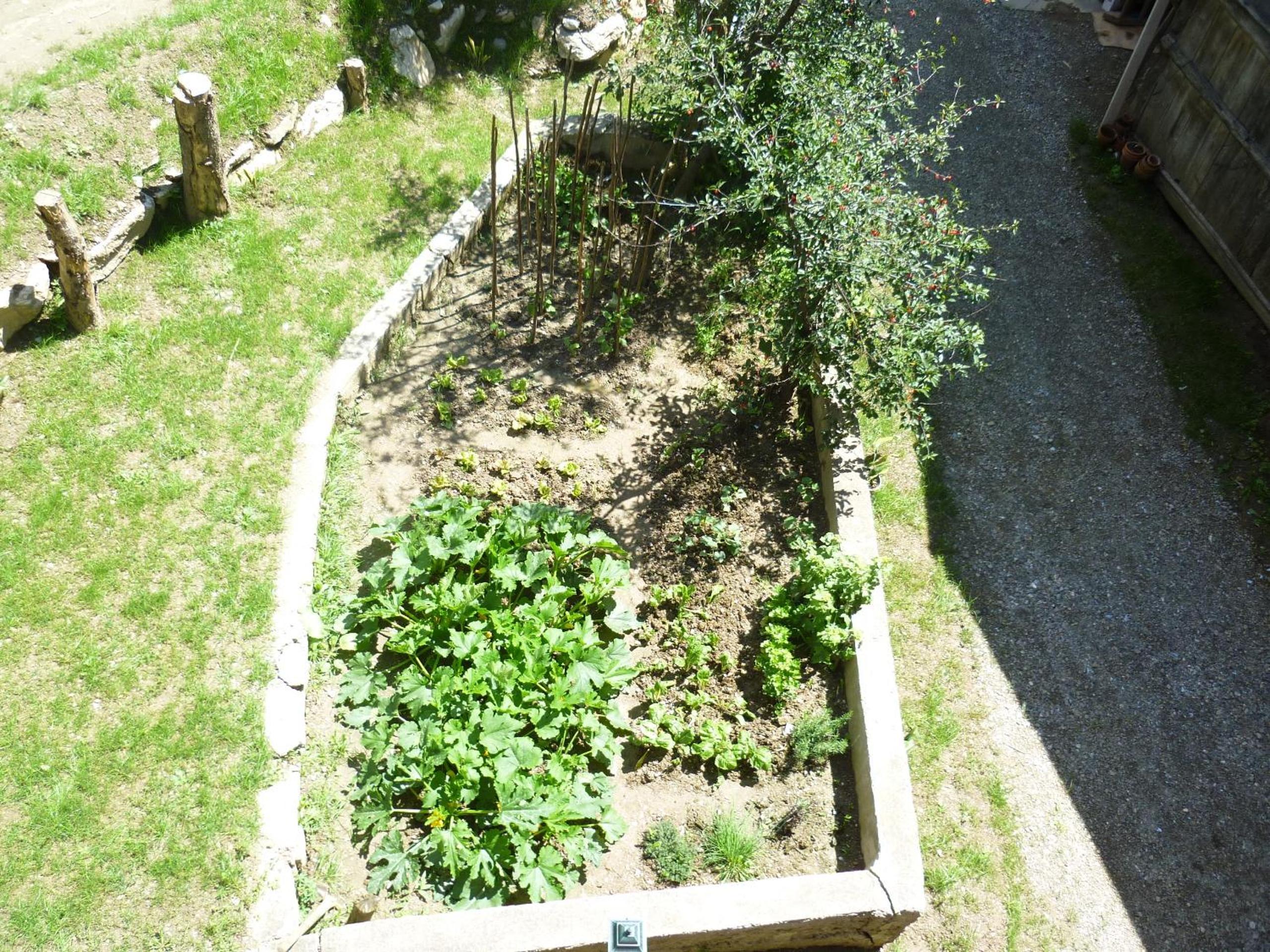 Photo 35