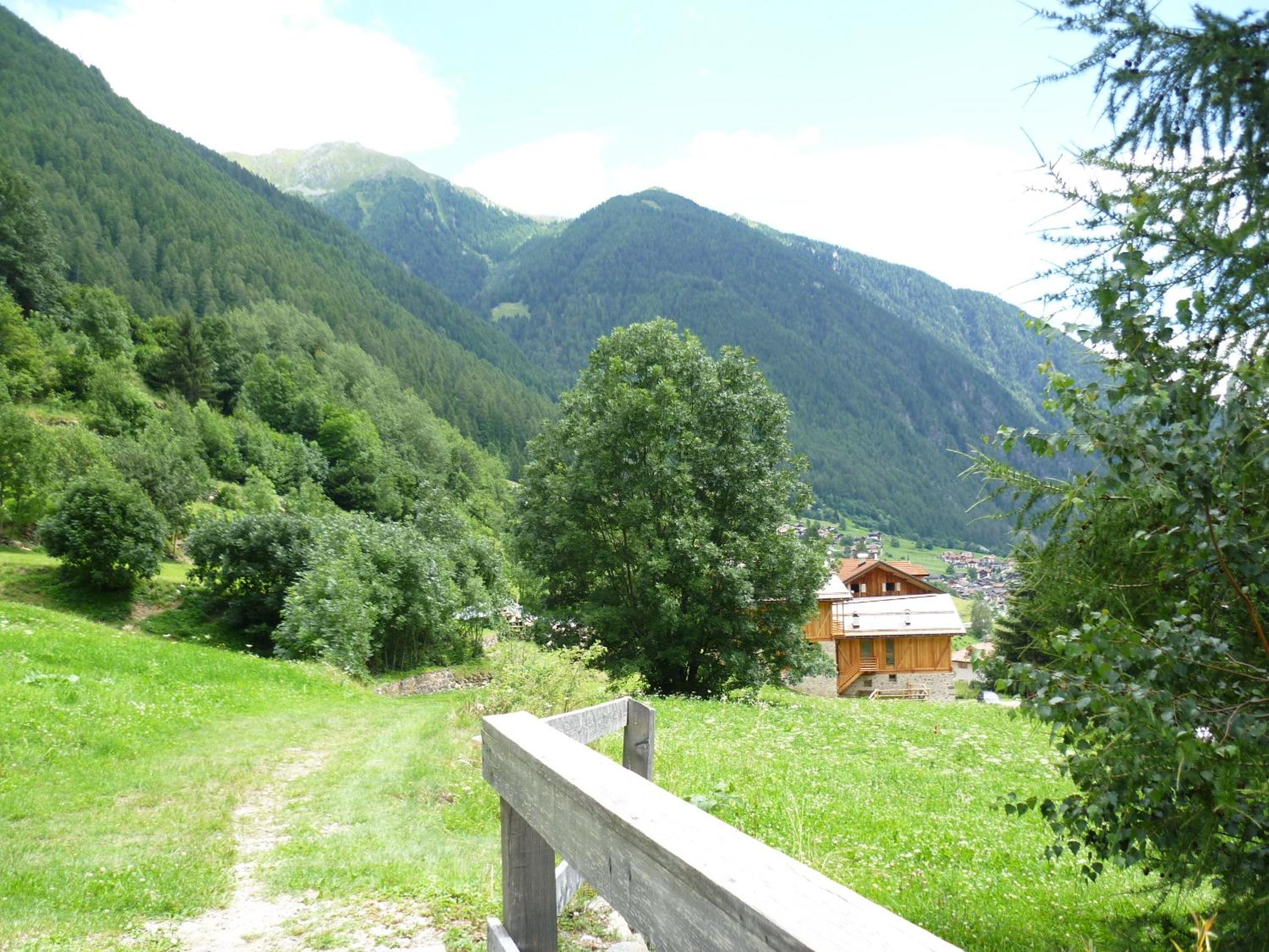 Photo 12