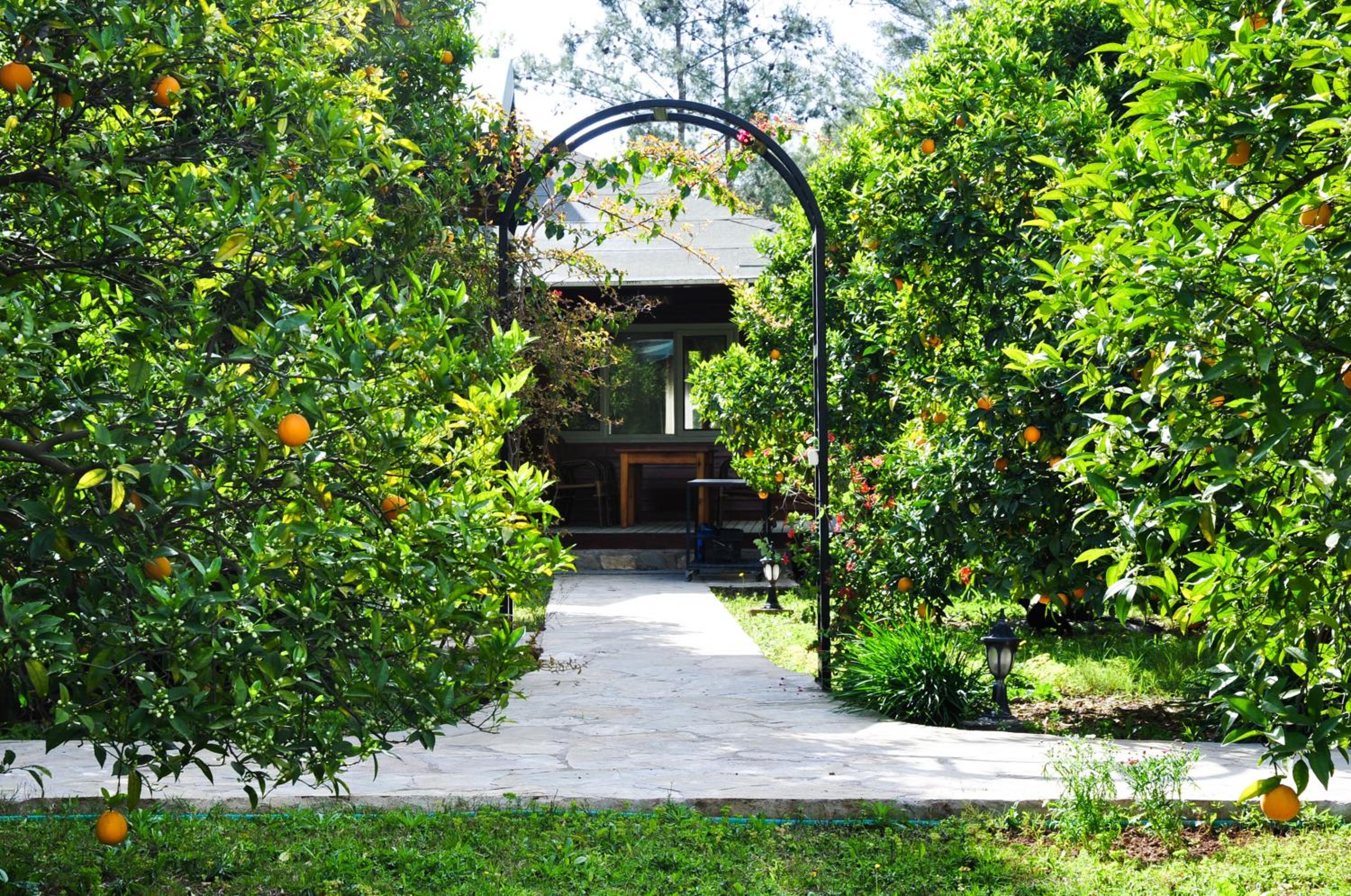 Photo 40