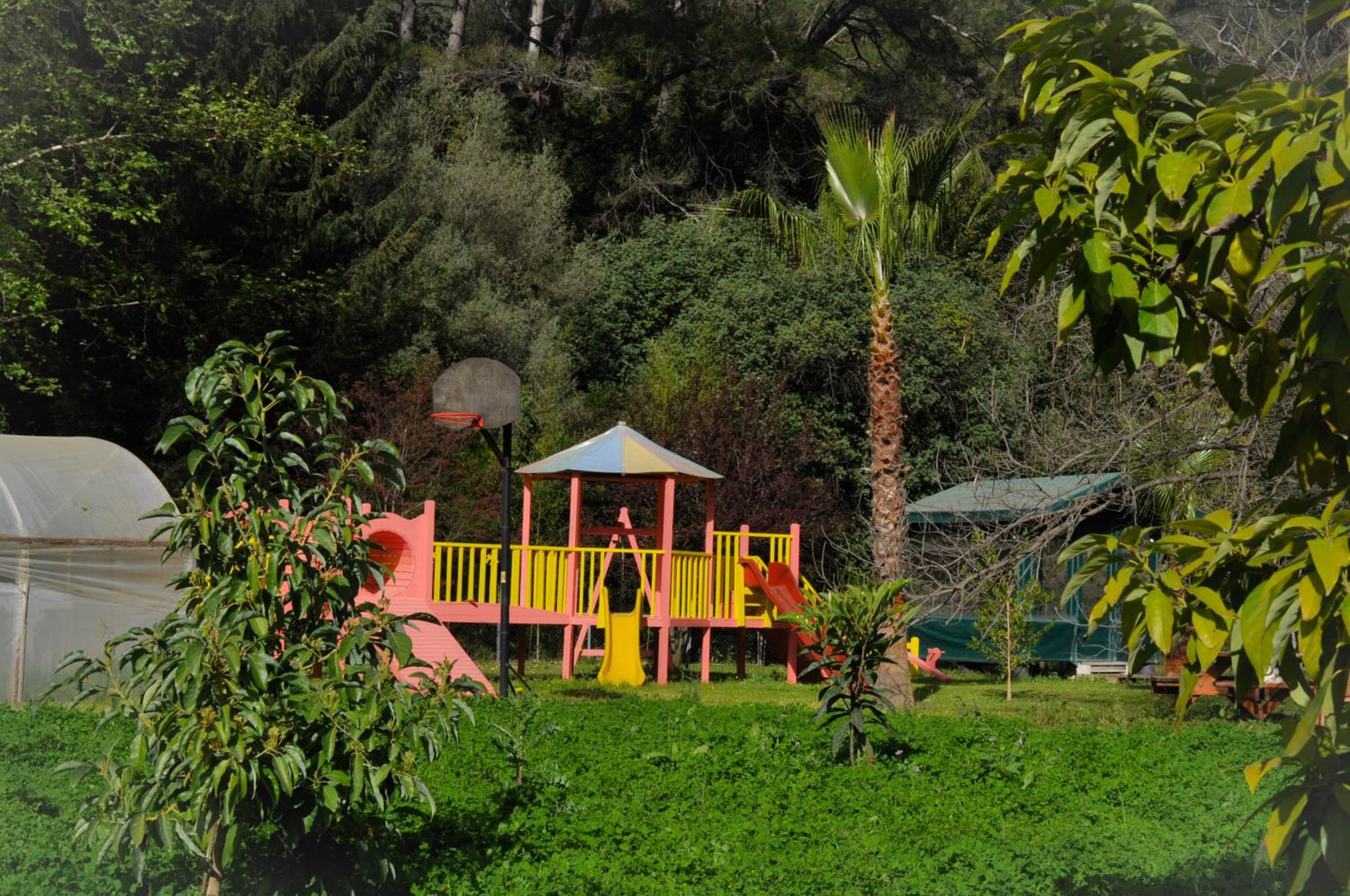 Photo 46