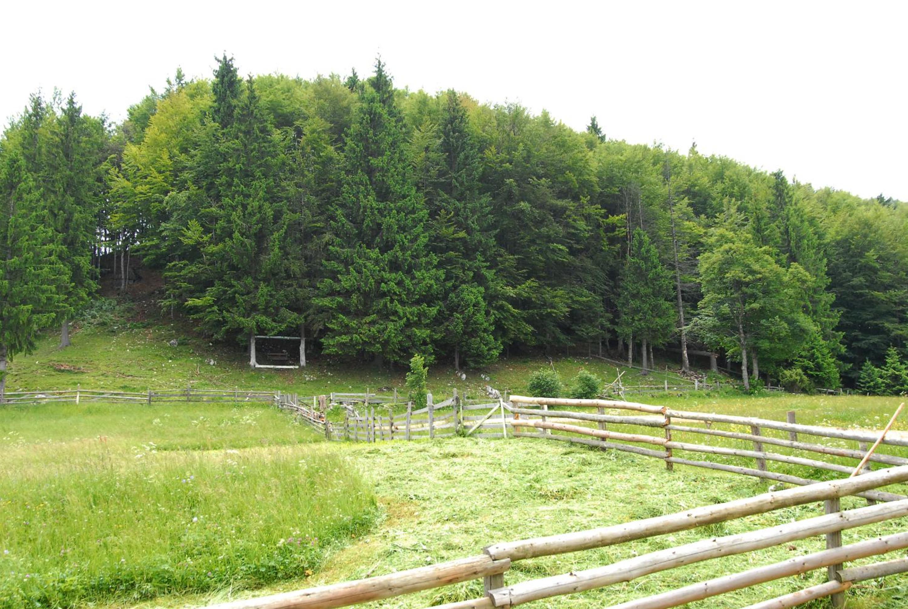 Pensiunea Edera