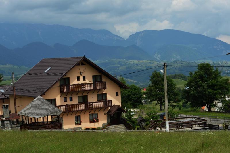 Pensiunea Edera