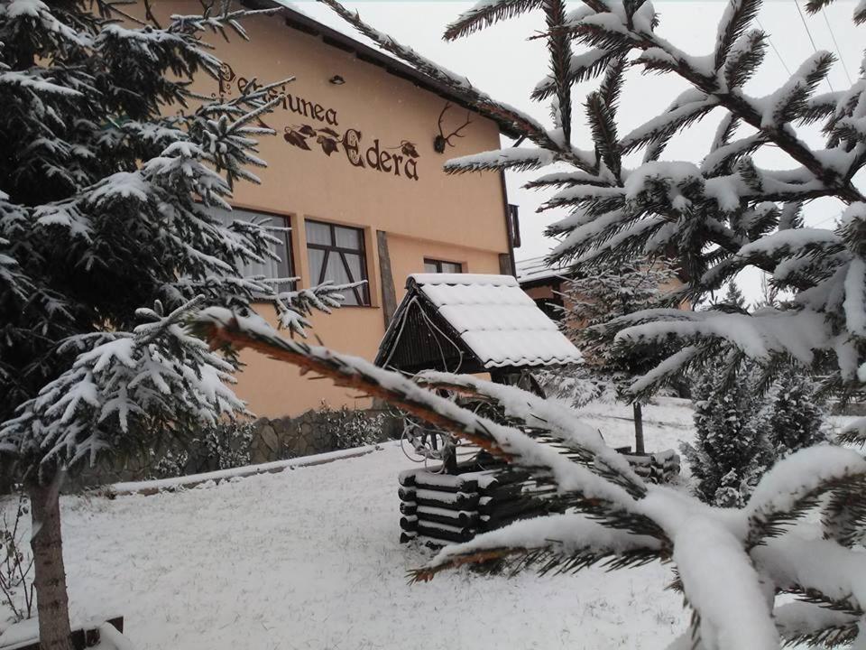 Pensiunea Edera
