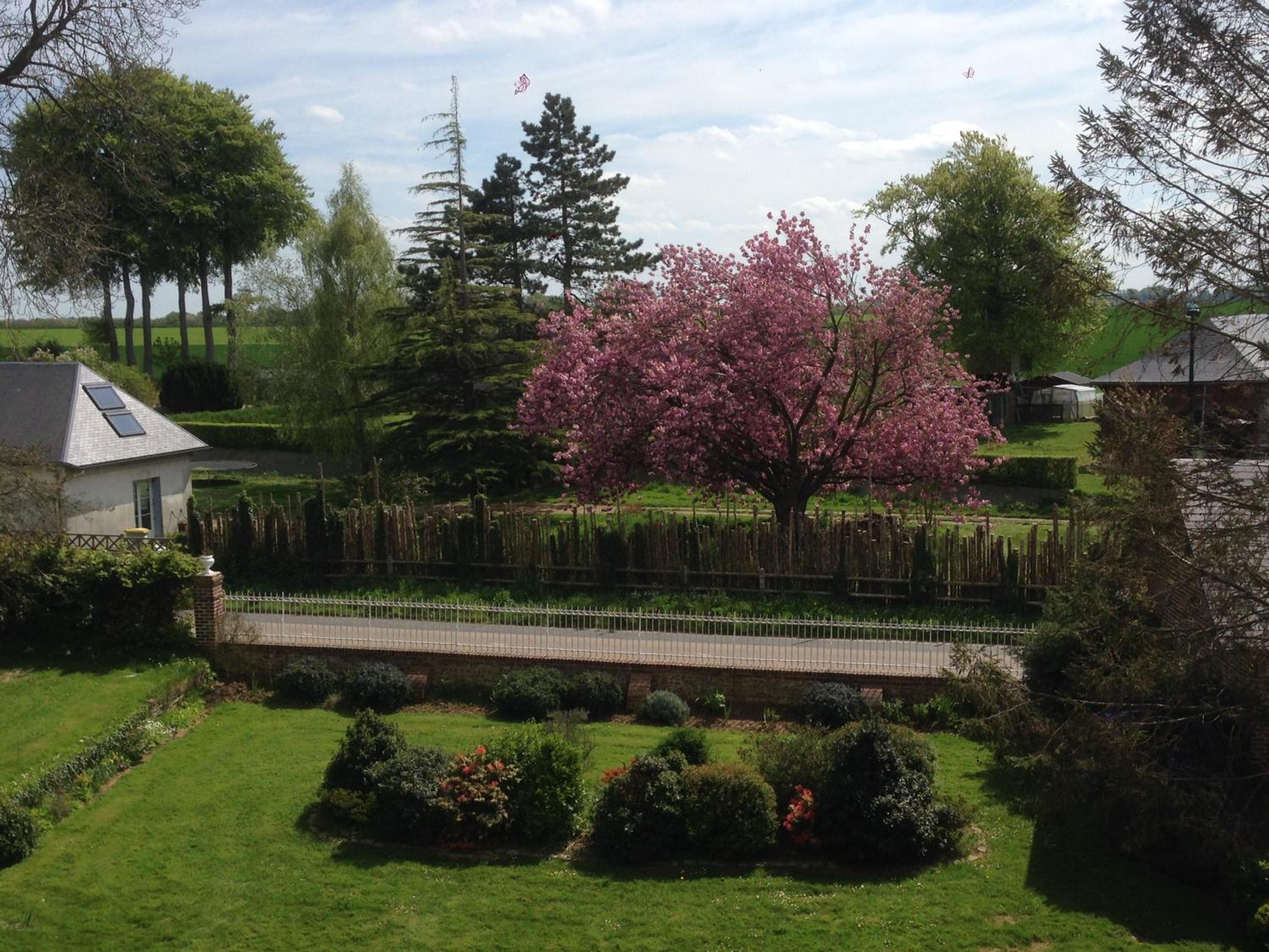 Photo 22