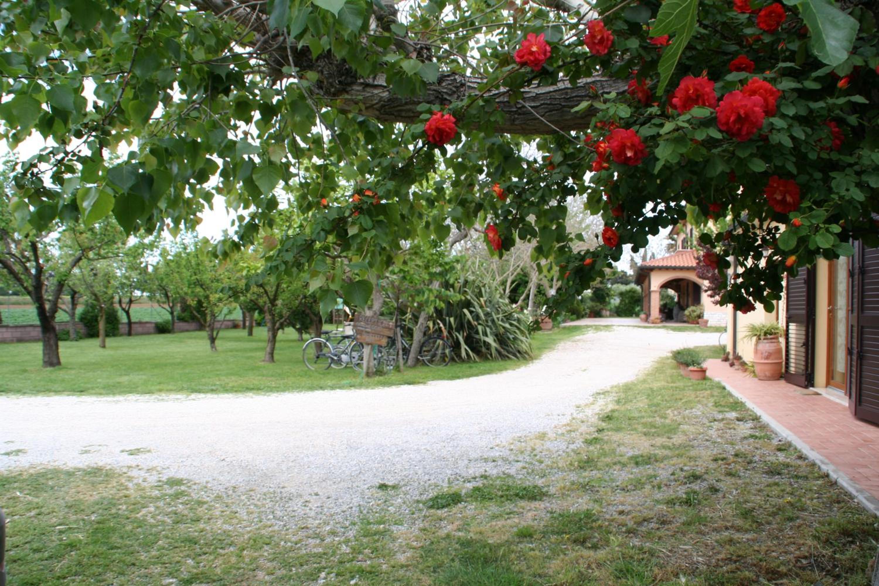 Agriturismo Diciocco view 3