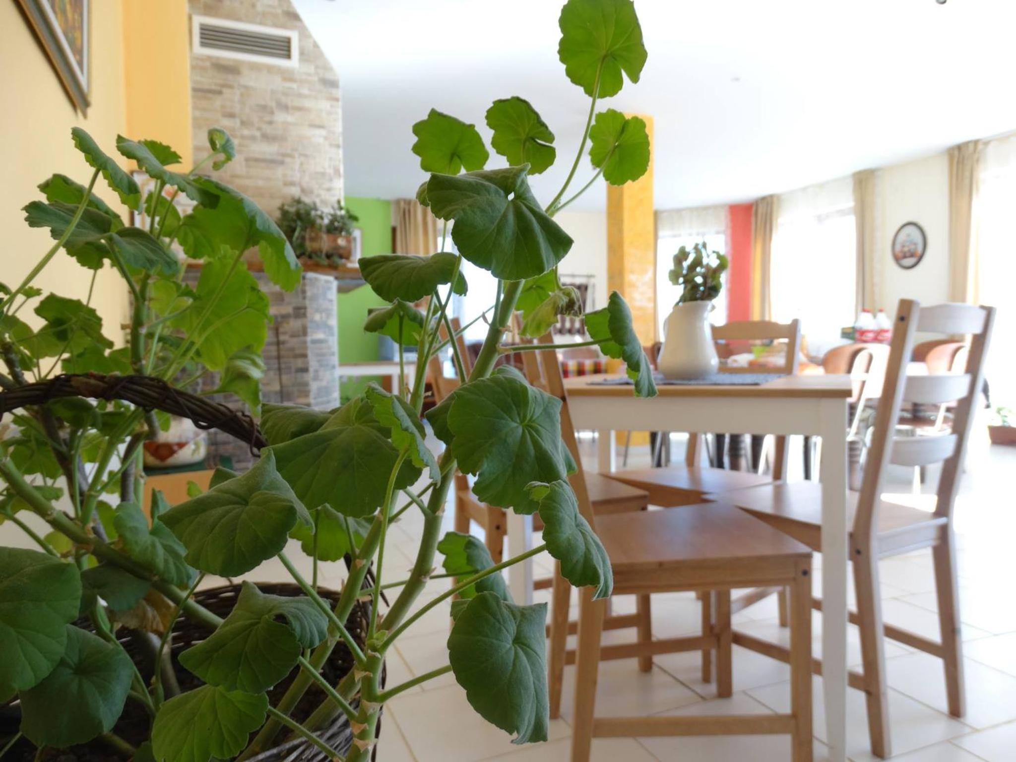 Guest House Misha