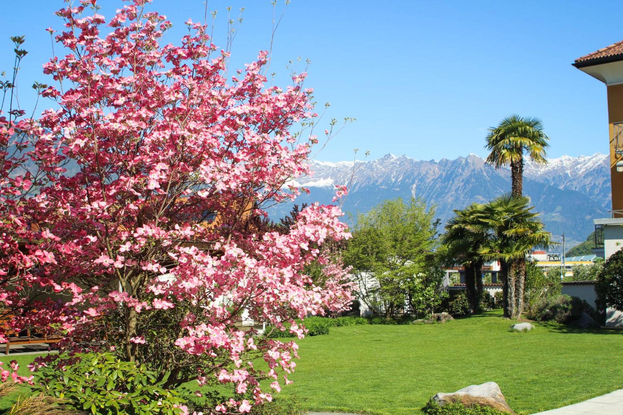 Hotel Garni Günther