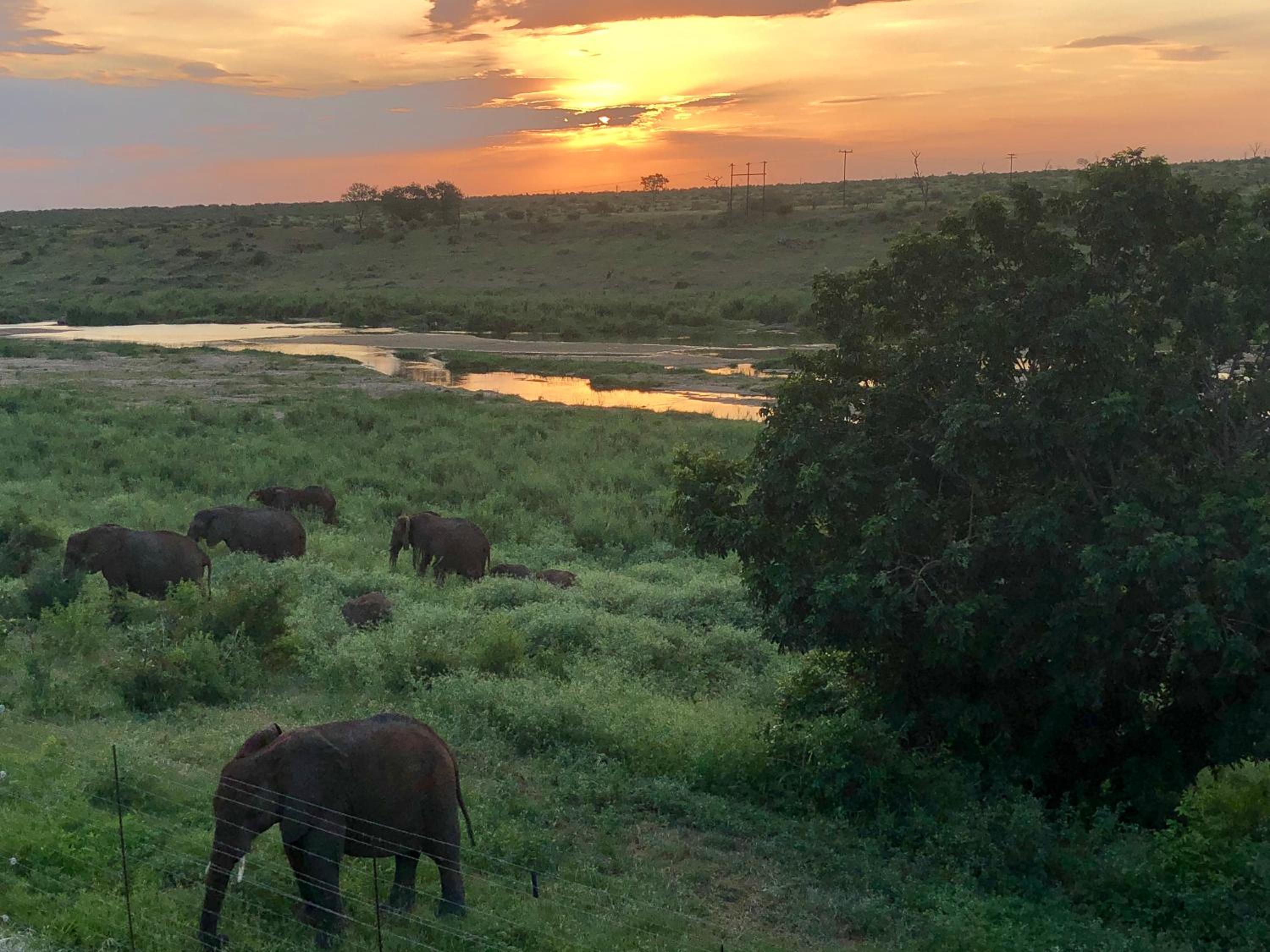 Elephant Walk Retreat