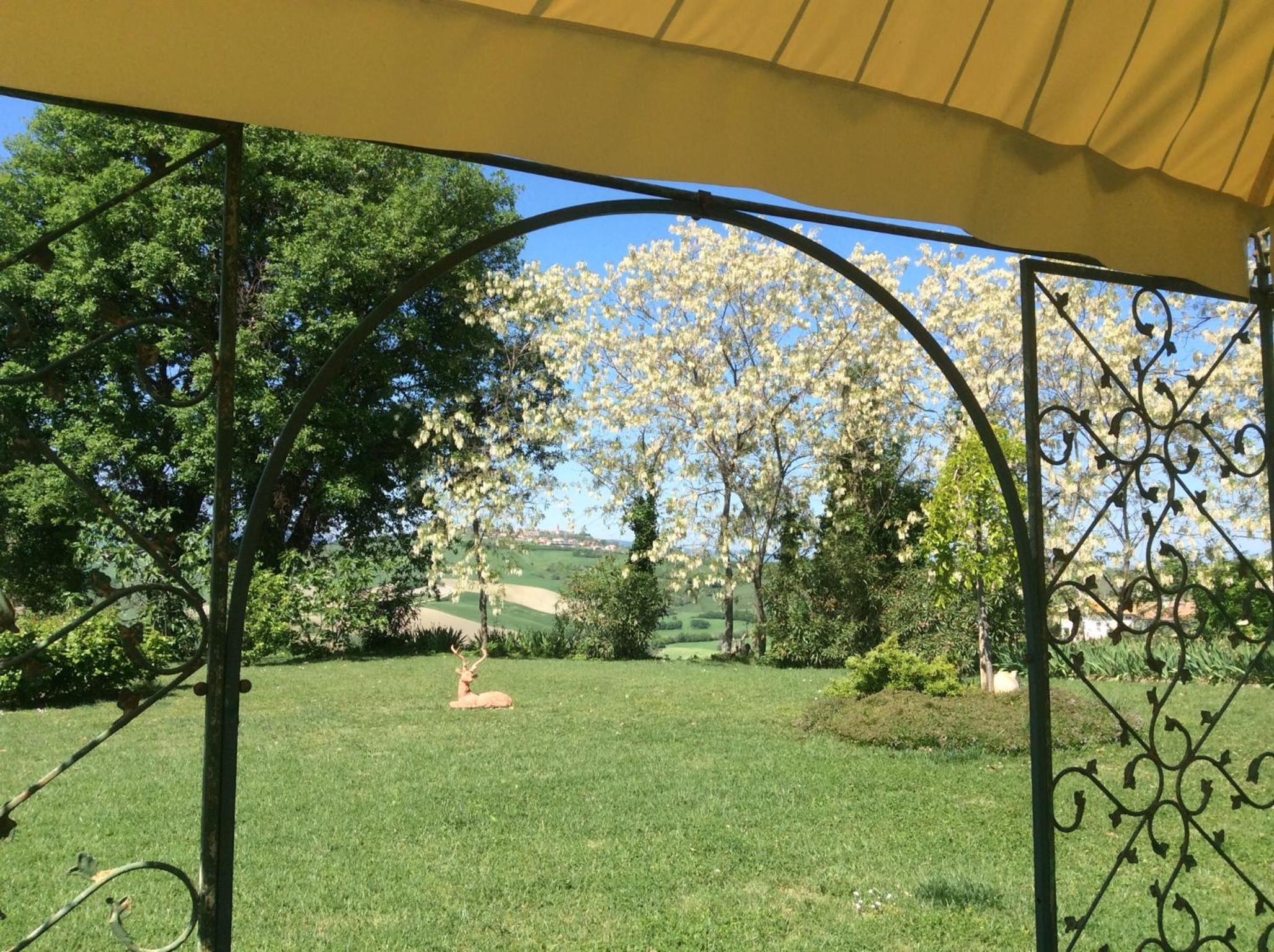 B&B MikiGio view 3