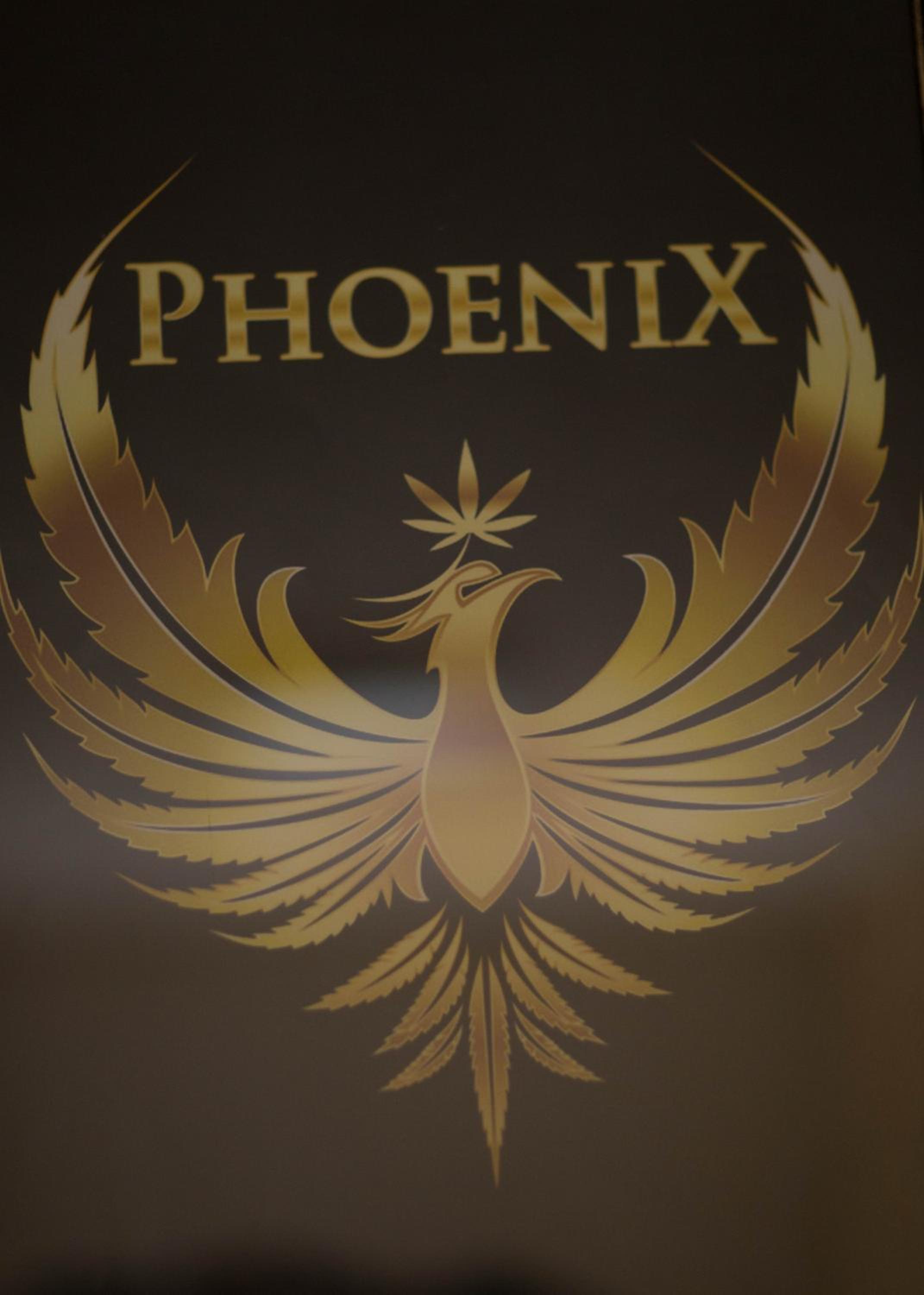 Apartments Phoenix view 5
