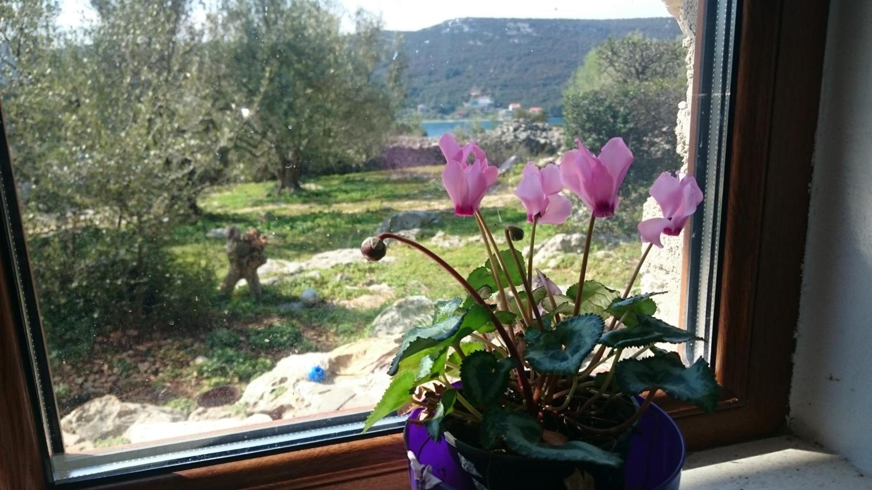 Photo 37