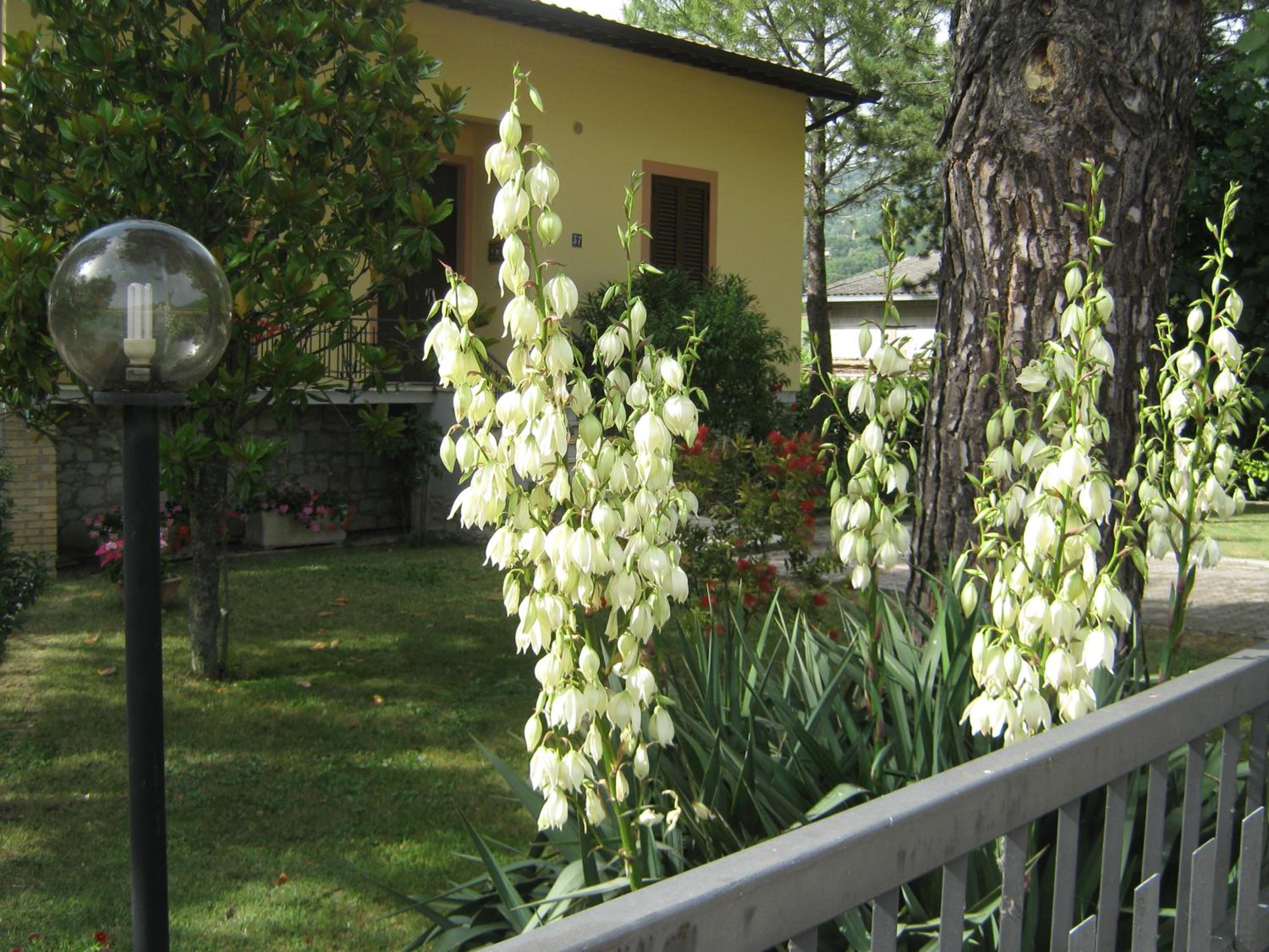 Appartamenti Il Borgo photo 2