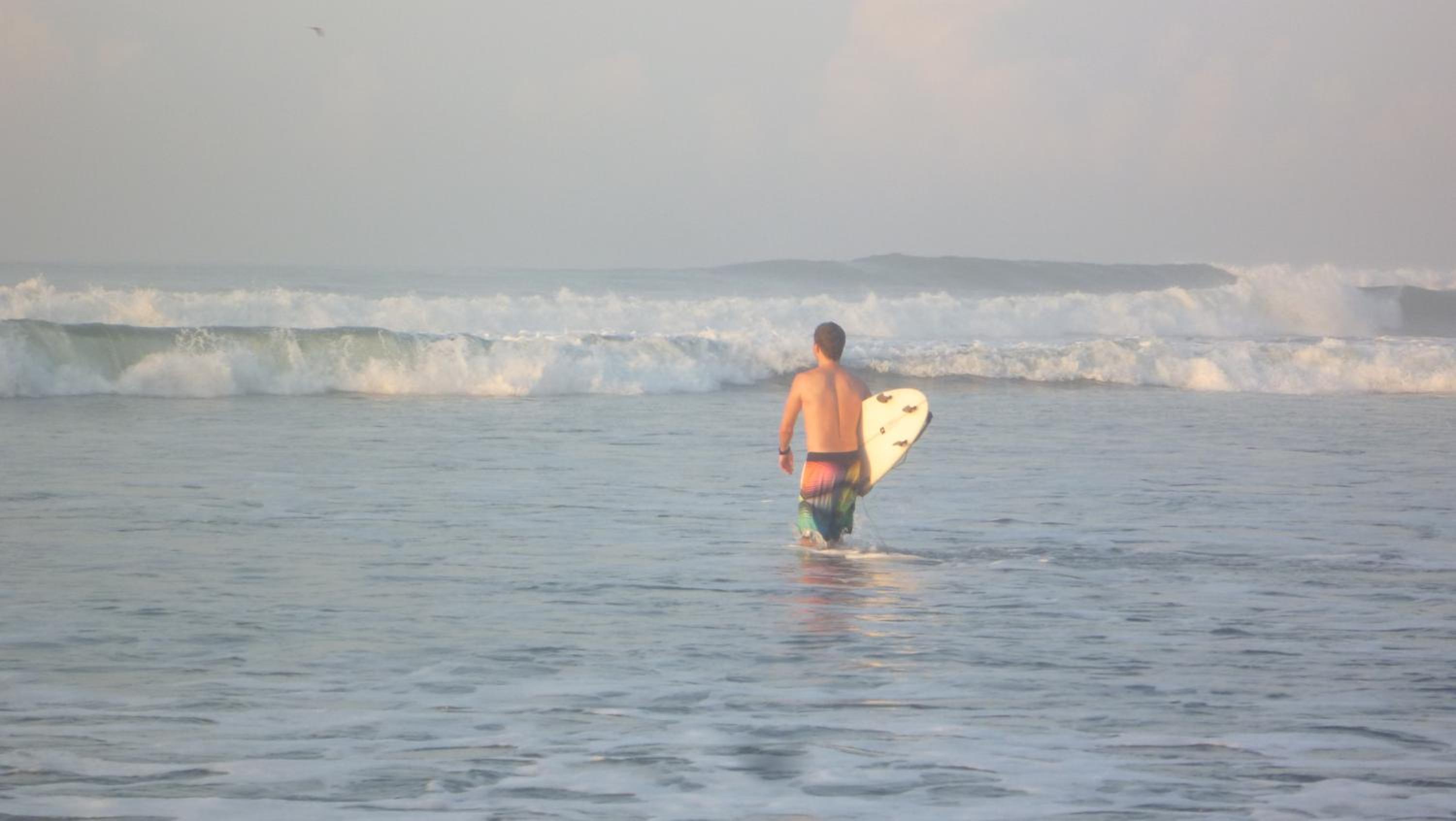 Photo 41