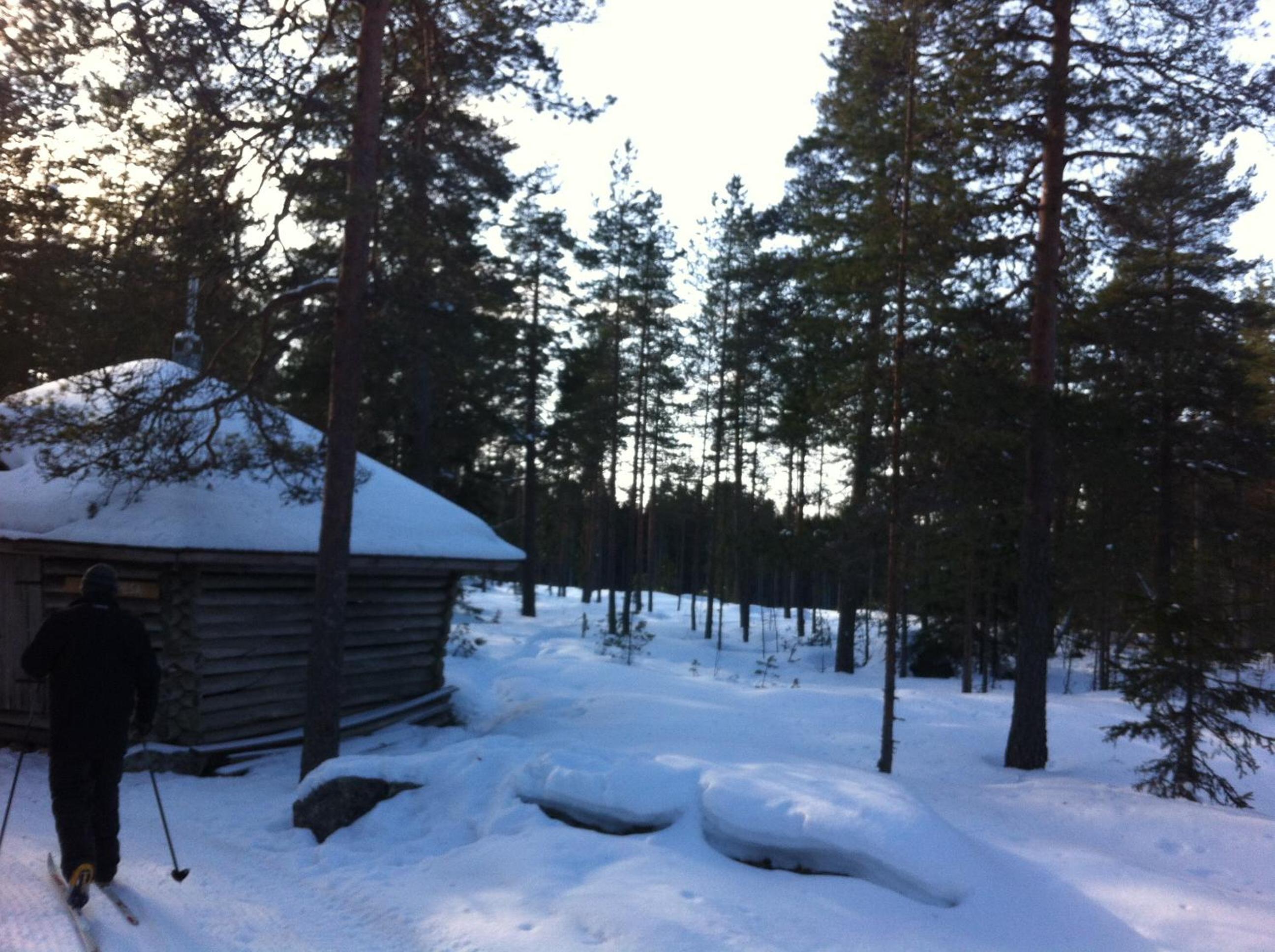 Photo 41