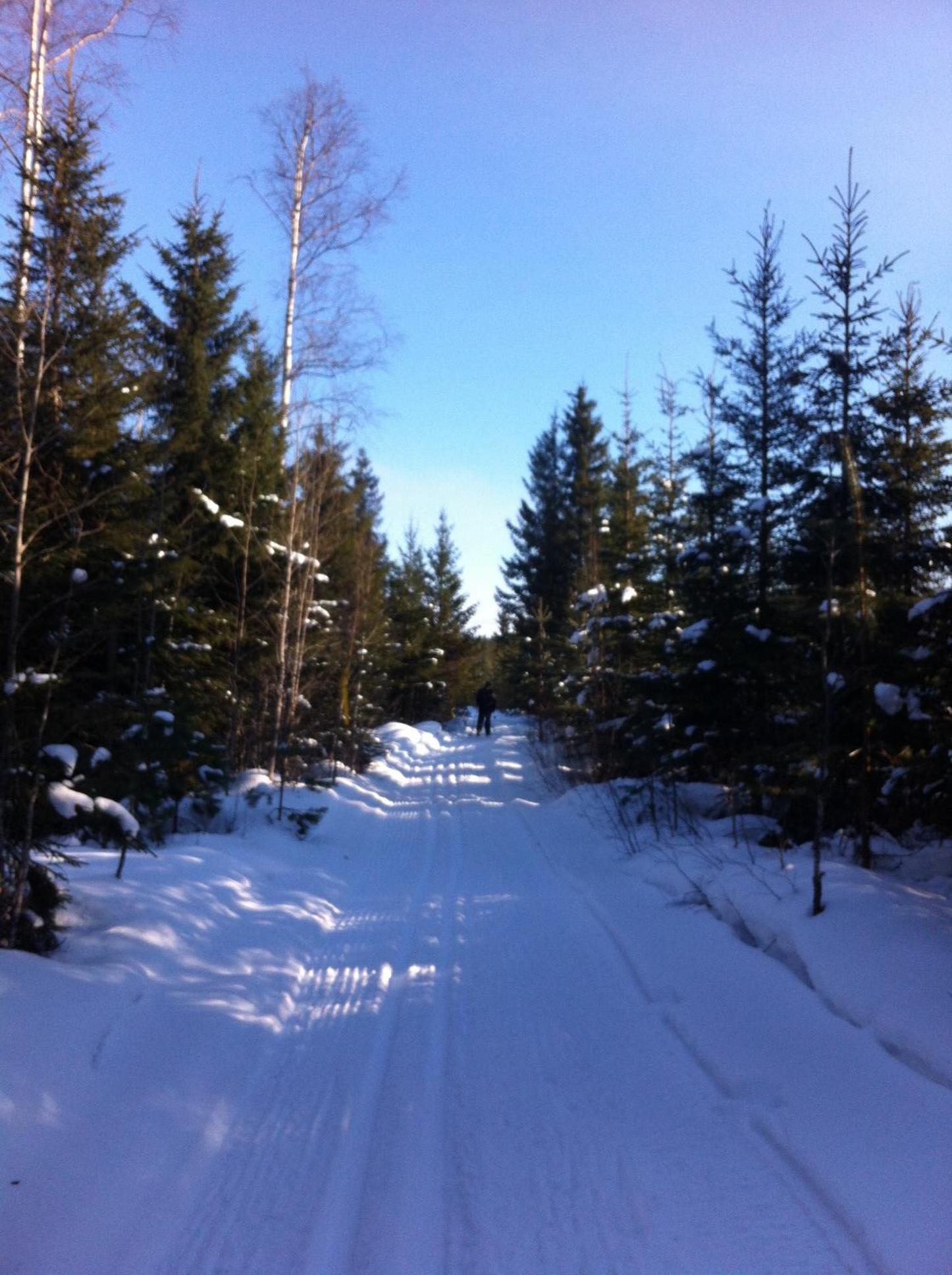 Photo 52