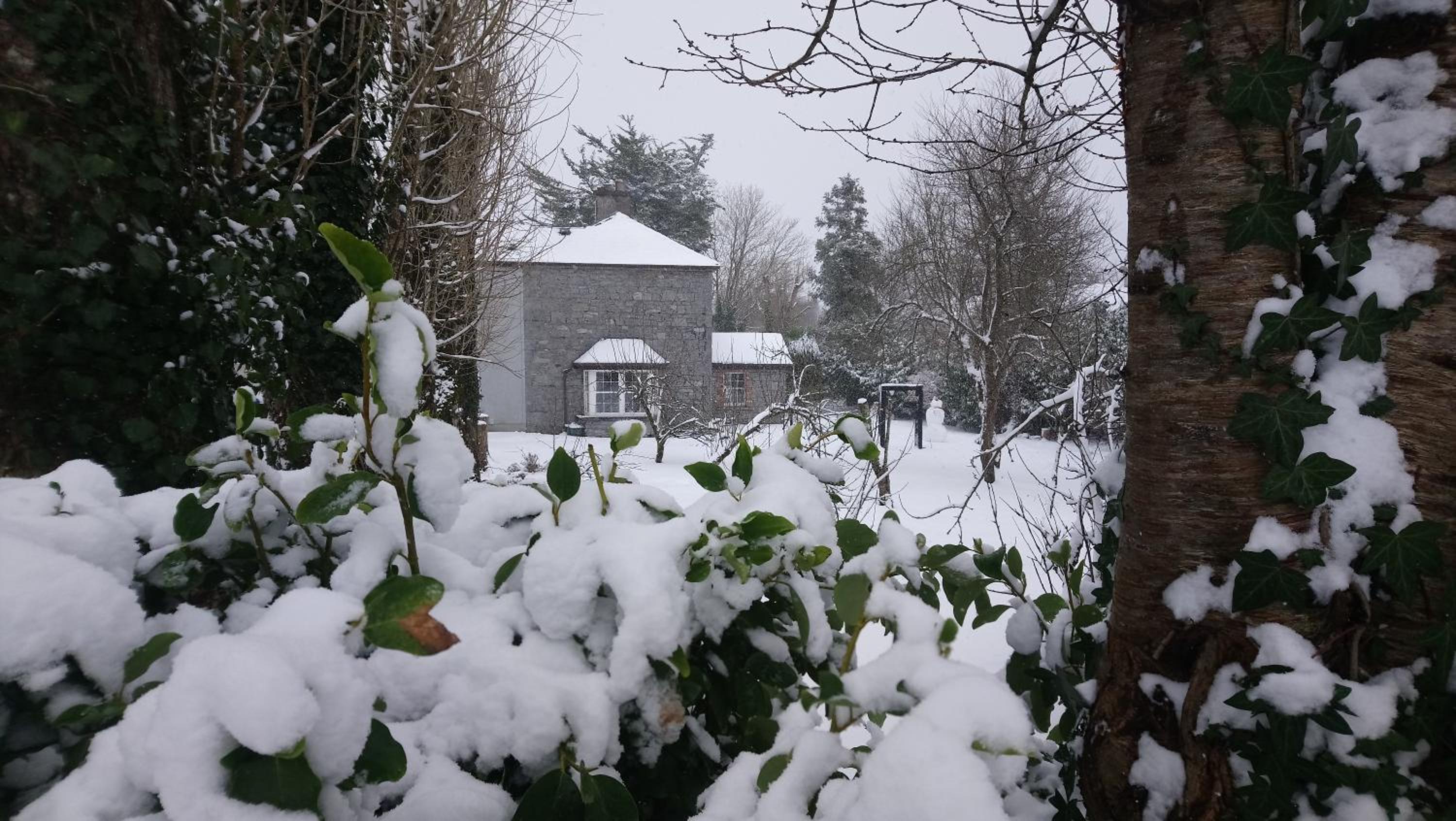 Ennis Vacations - Knockaderry House - Property Image 7