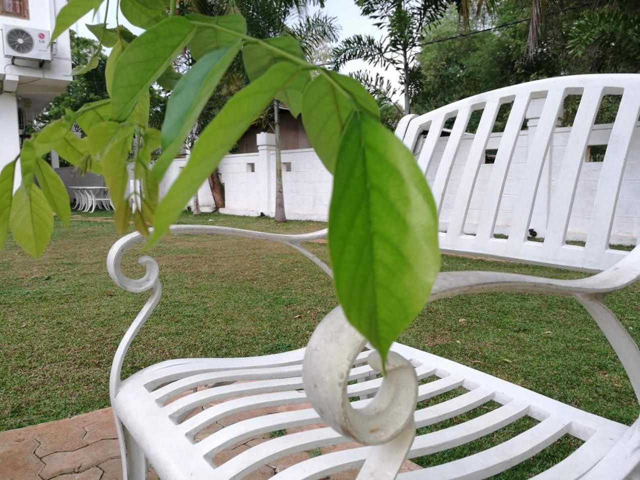 Rajarata Family Resort