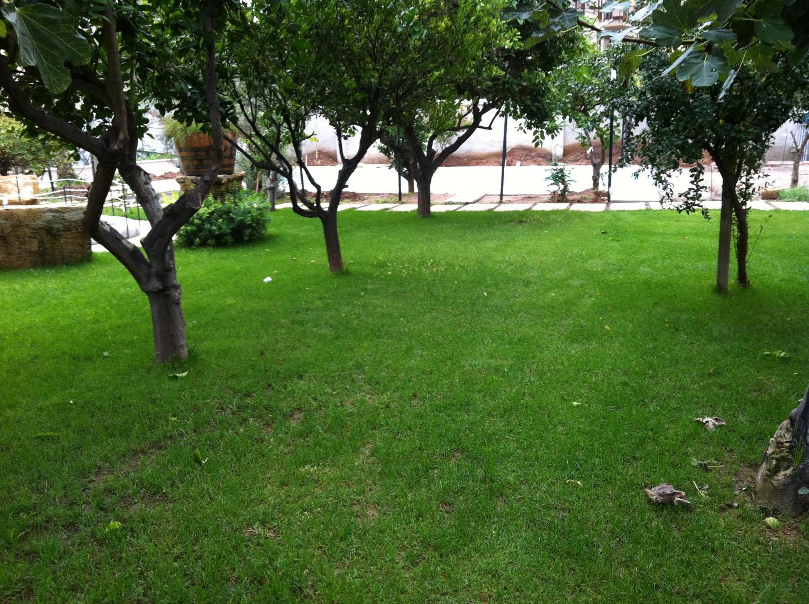 Photo 34
