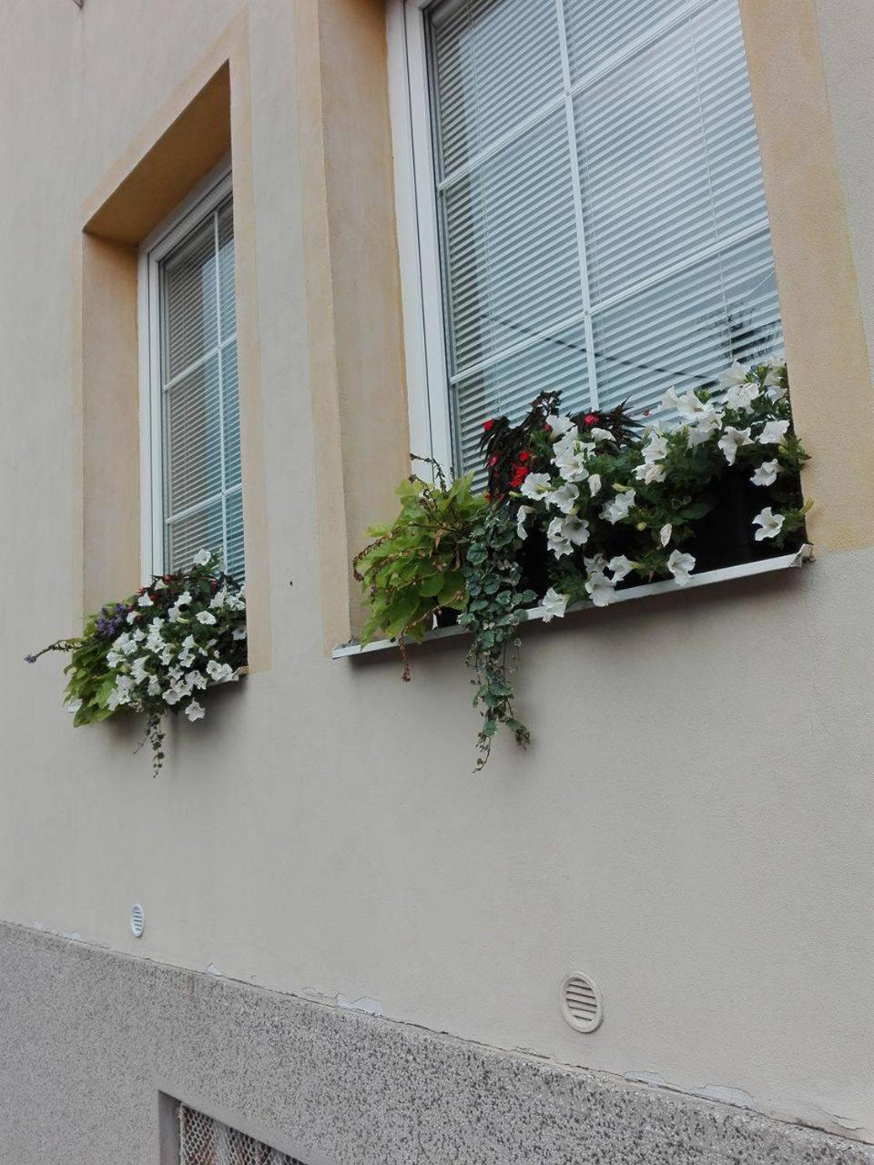Penzion pod Kostelíčkem